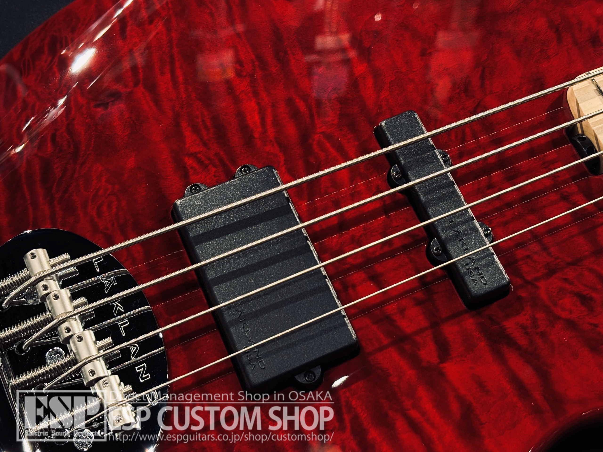 【即納可能】LAKLAND(レイクランド) SL44-94 Deluxe (Maple FB) / Burgundy Translucent 大阪店