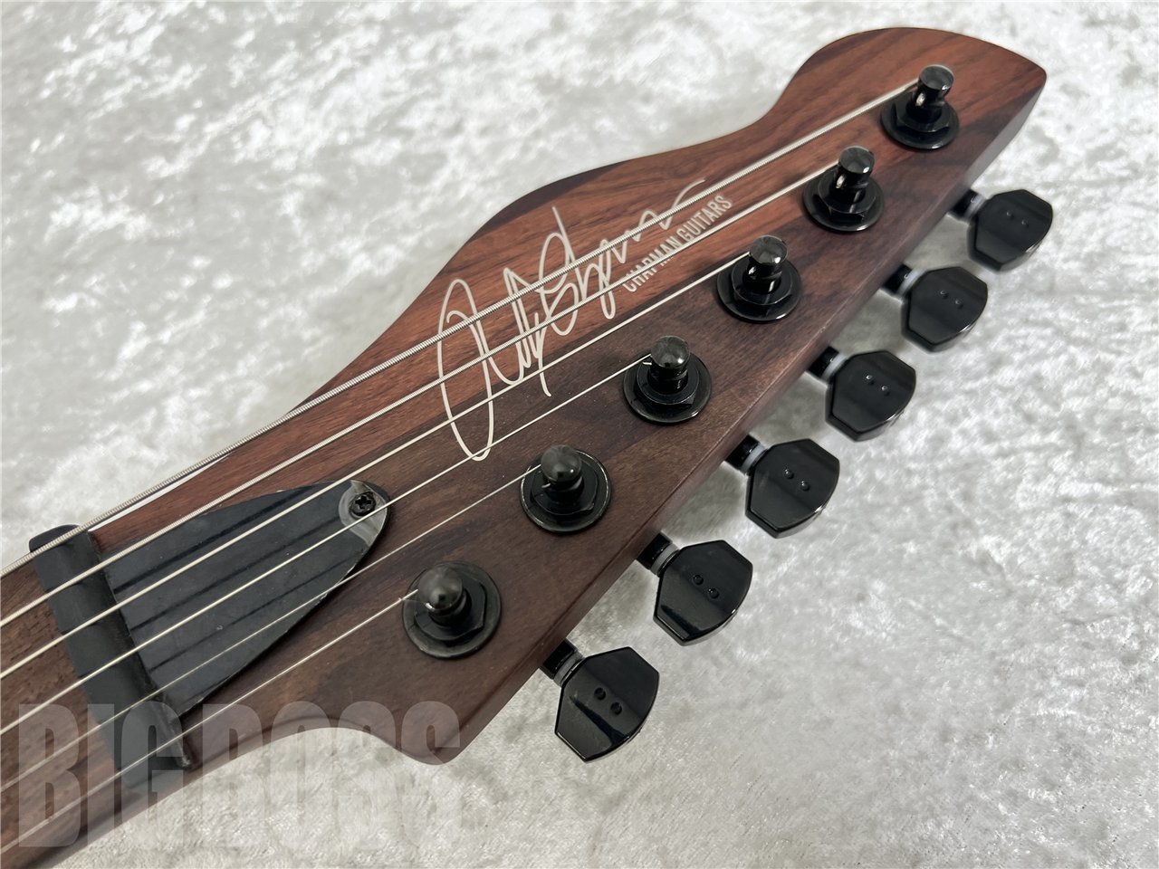 【即納可能/OUTLET】Chapman Guitars(チャップマンギターズ) Law Maker Legacy / Ocean Moss Blue お茶の水駅前店(東京) - 8