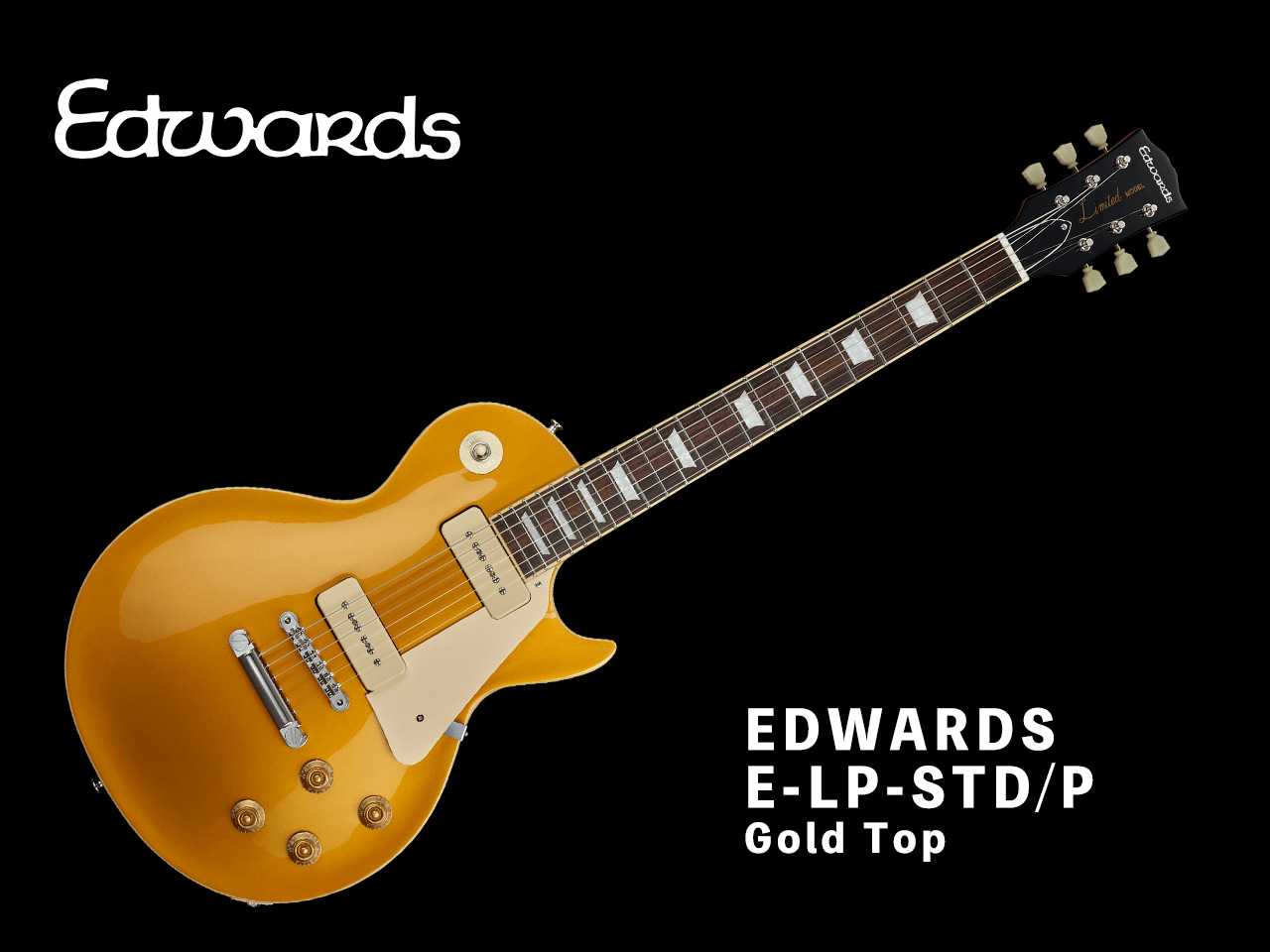 【お取寄せ商品】EDWARDS(エドワーズ) E-LP-STD/P Gold Top