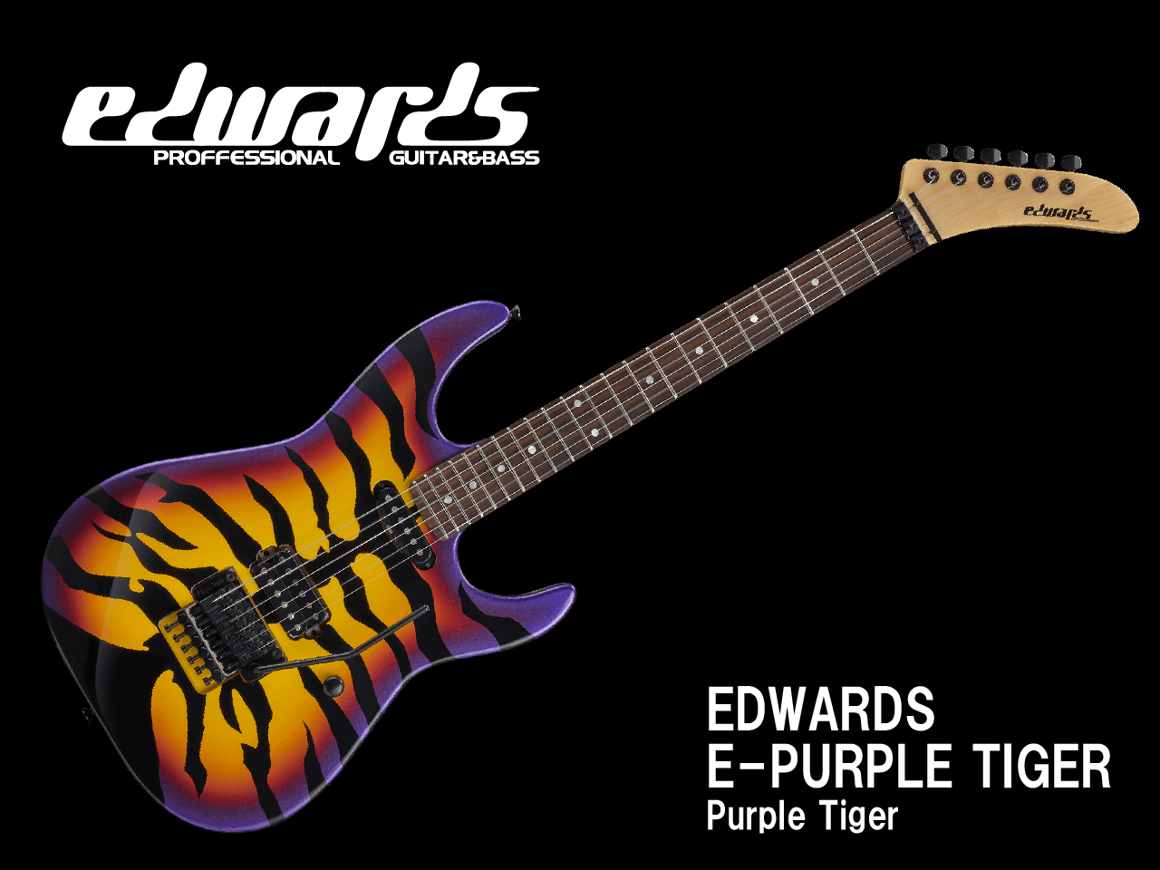 【お取寄せ商品】EDWARDS(エドワーズ) E-PURPLE TIGER (DOKKEN/George Lynchモデル)