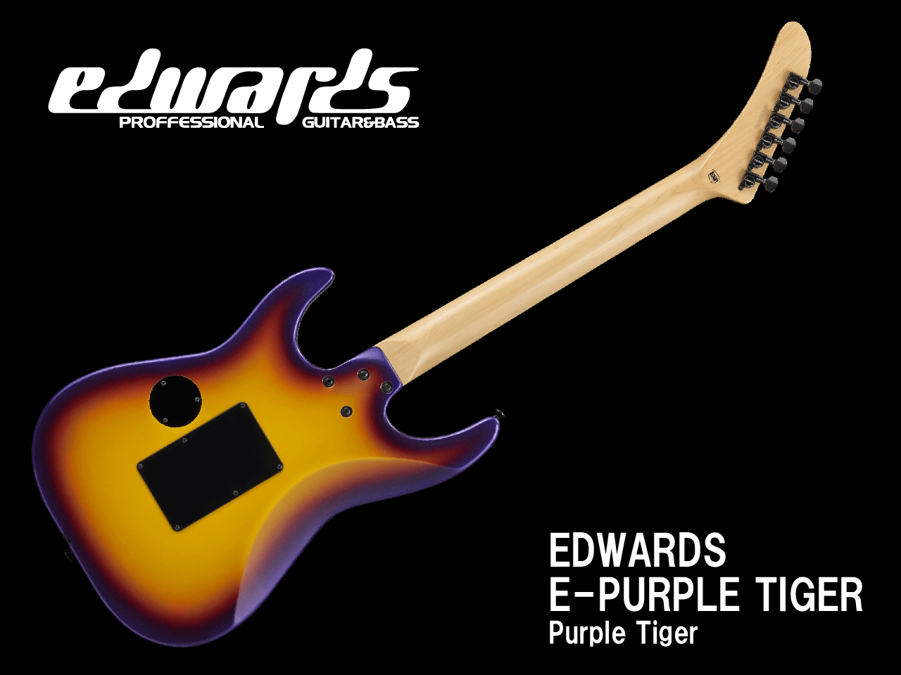 【お取寄せ商品】EDWARDS(エドワーズ) E-PURPLE TIGER (DOKKEN/George Lynchモデル)