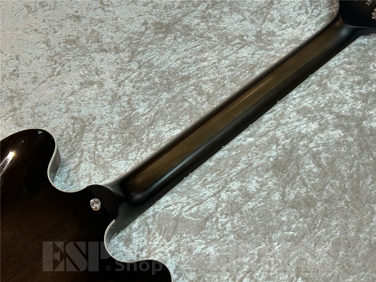 【即納可能】T.S factory(ティーエス ファクトリー) 151A-SA Walnut 広島店