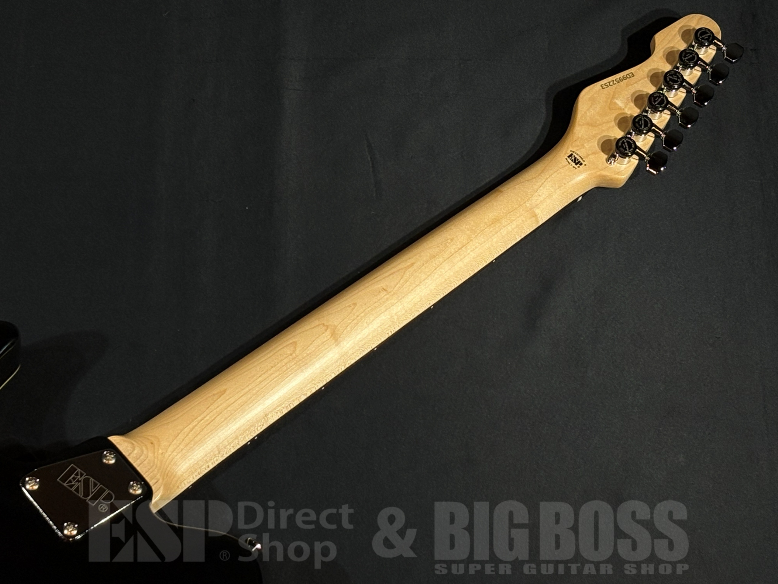 【即納可能】EDWARDS(エドワーズ) E-THROBBER-CTM / Black 大阪店