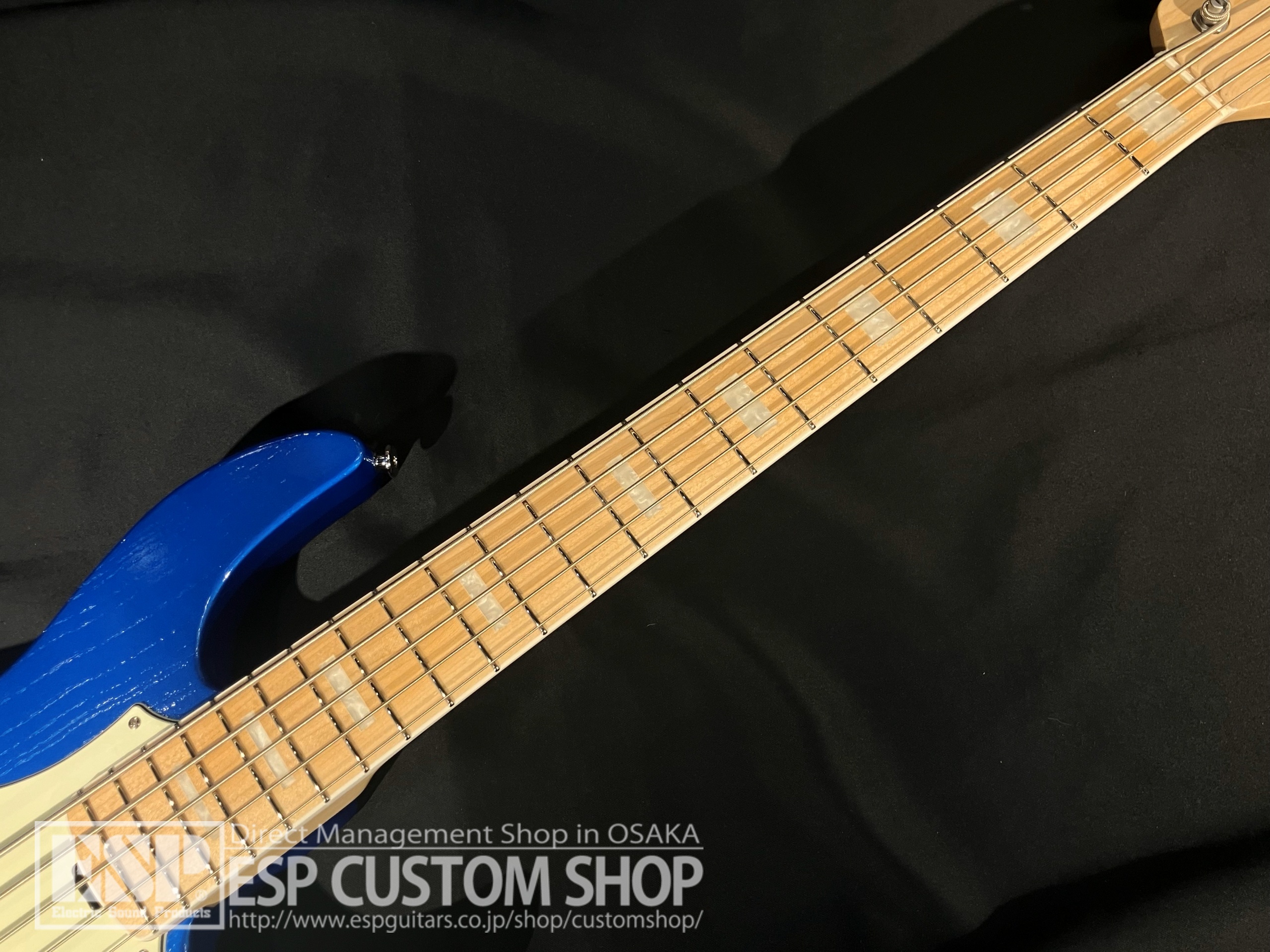 【即納可能】EDWARDS(エドワーズ) E-AMAZE-AS-5/M / Solid Metallic Blue 大阪店