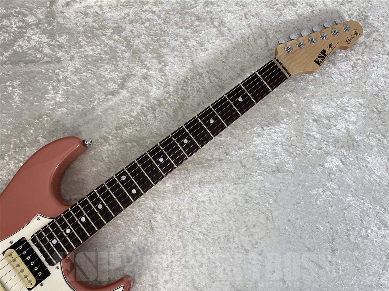 【即納可能】ESP(イーエスピー) SNAPPER Fujioka Custom (藤岡幹大モデル) お茶の水駅前店(東京)