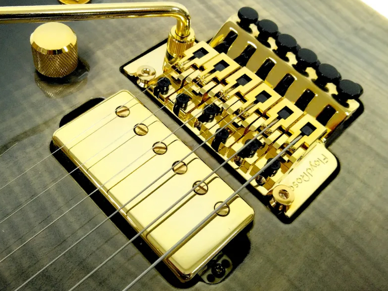 【お取寄せ商品】EDWARDS(エドワーズ) E-HORIZON-CTM 50TH (Ash Black Burst C / Black Pearl Back)