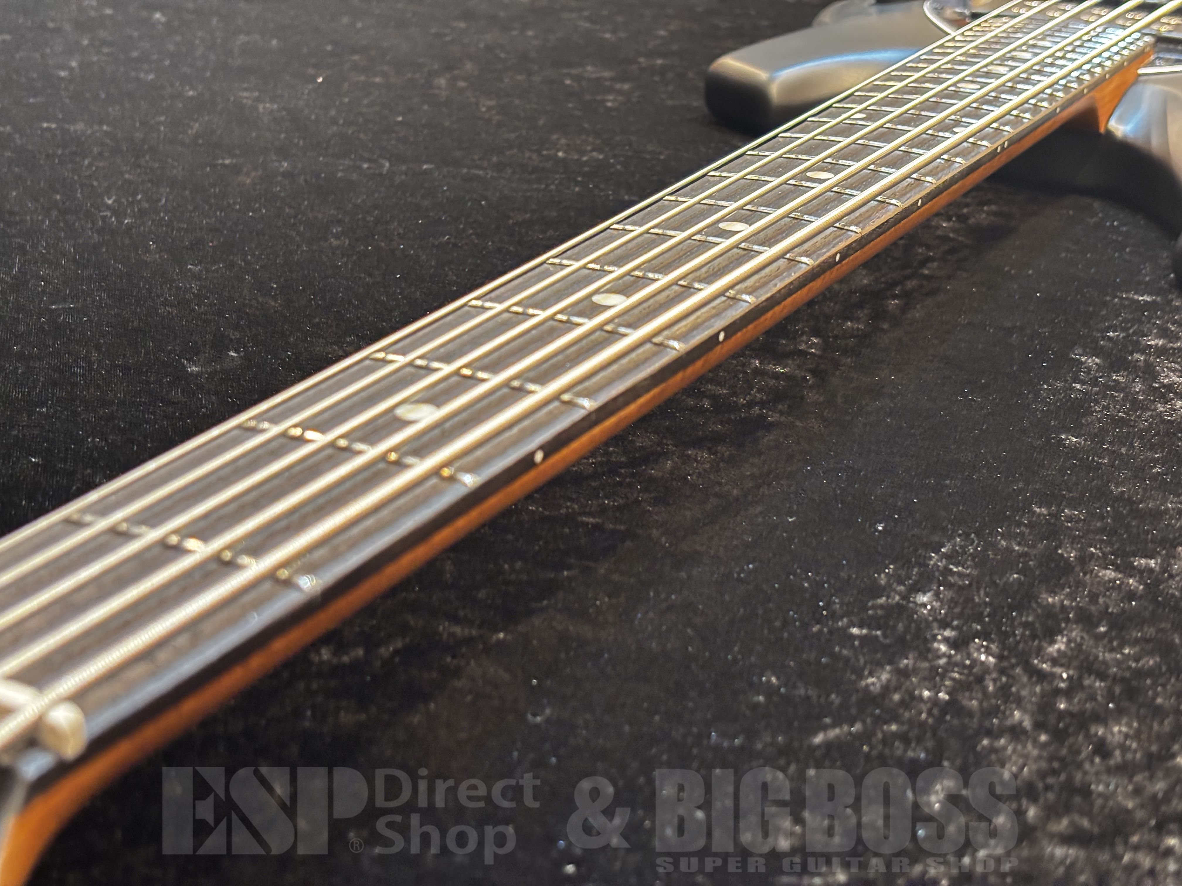 【即納可能】Sterling by MUSICMAN(スターリン) BONGO5-SBK-R2【Stealth Black】福岡店