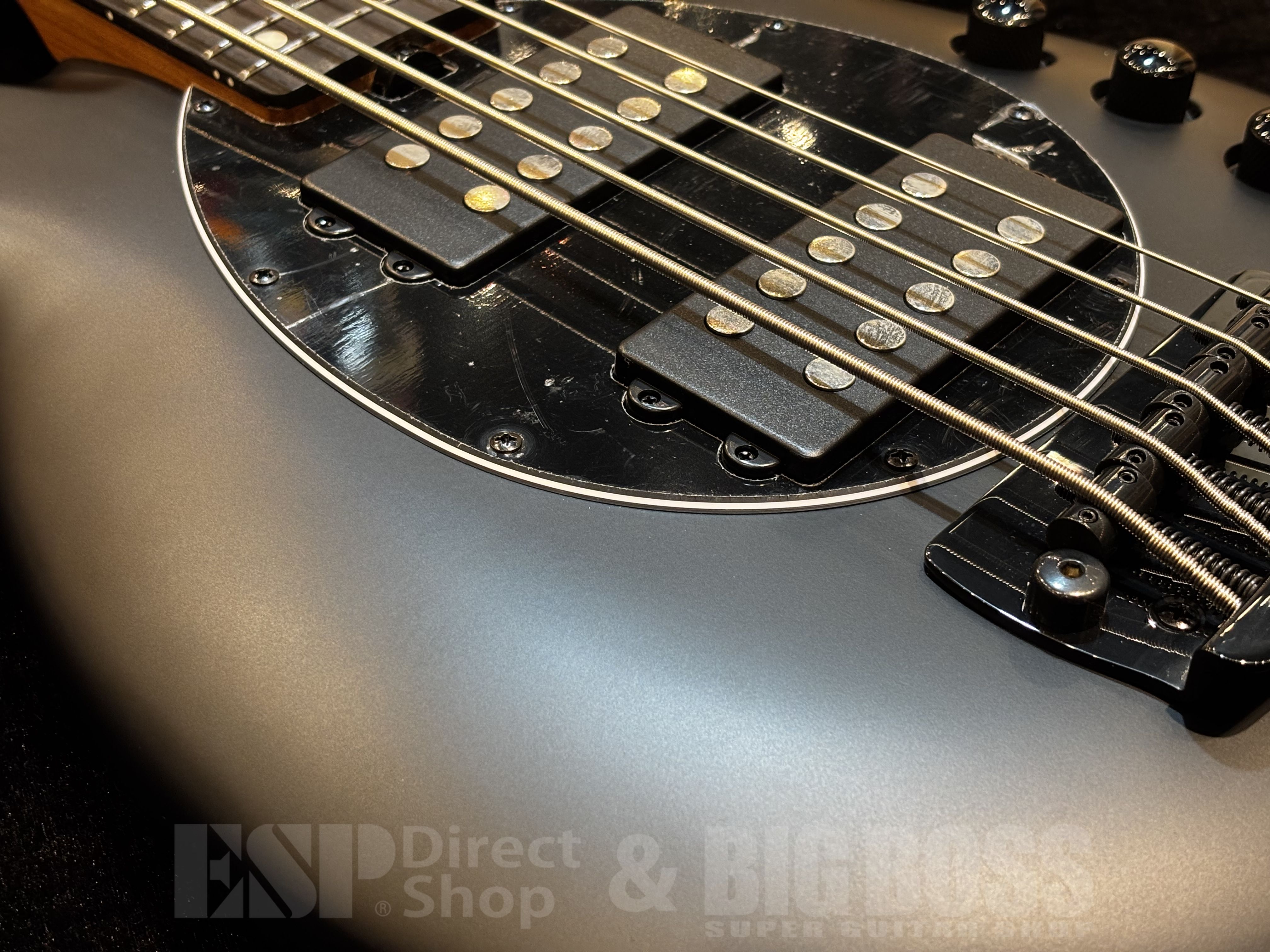 【即納可能】Sterling by MUSICMAN(スターリン) BONGO5-SBK-R2【Stealth Black】福岡店