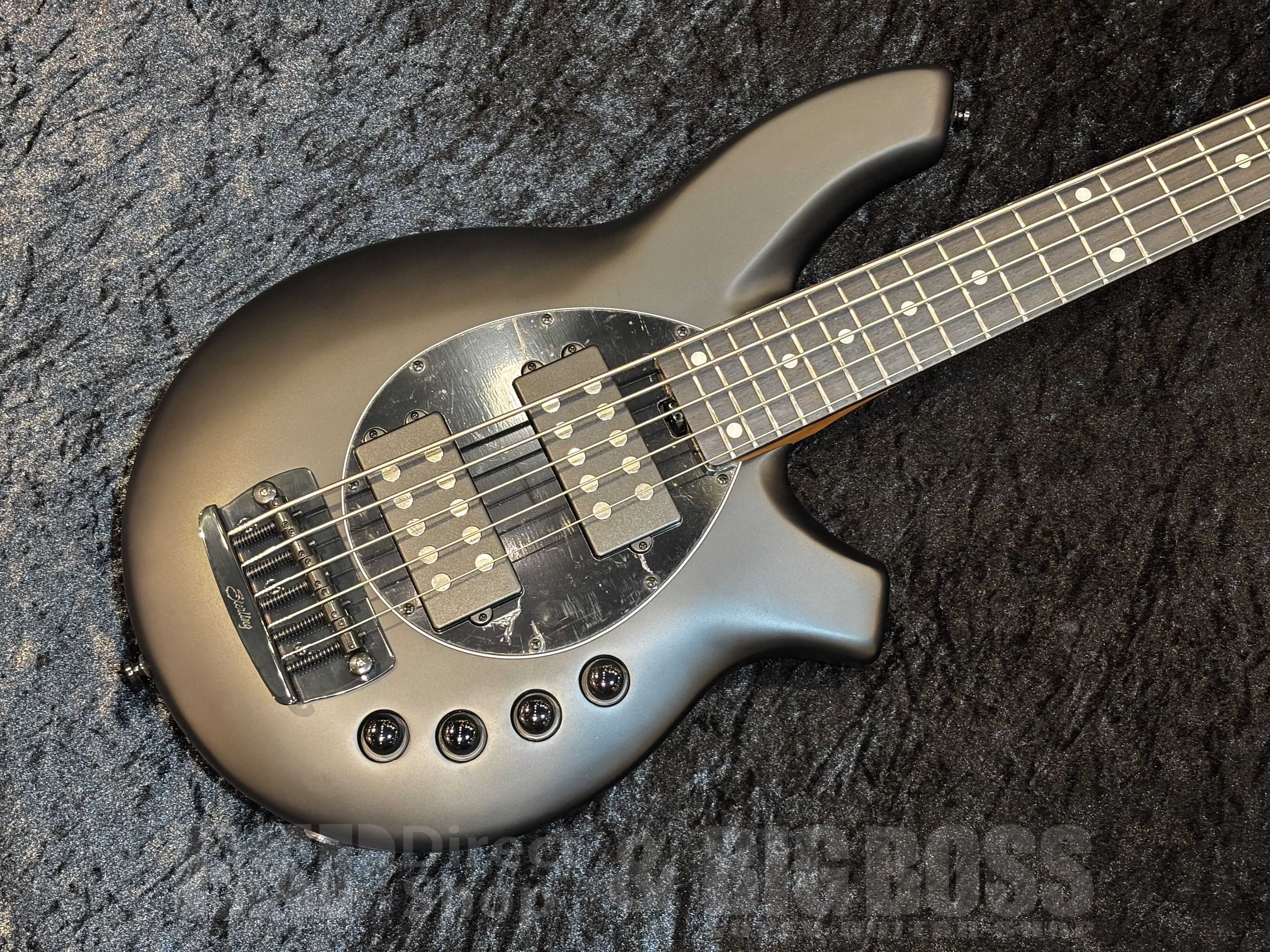 【即納可能】Sterling by MUSICMAN(スターリン) BONGO5-SBK-R2【Stealth Black】福岡店
