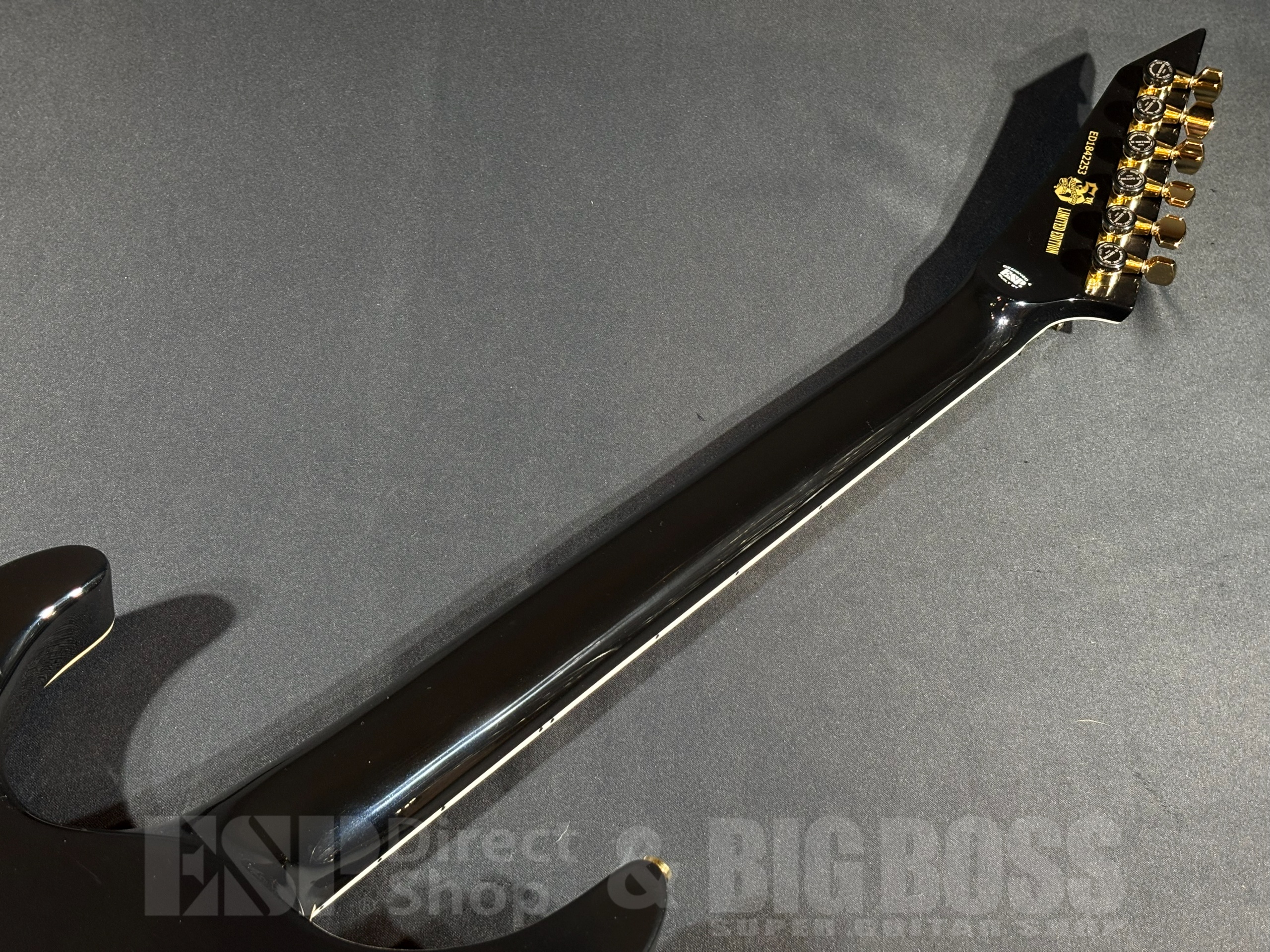 【即納可能】EDWARDS(エドワーズ) E-HORIZON-CTM 50TH / Black Aqua Burst C/Blue Pearl Back 大阪店