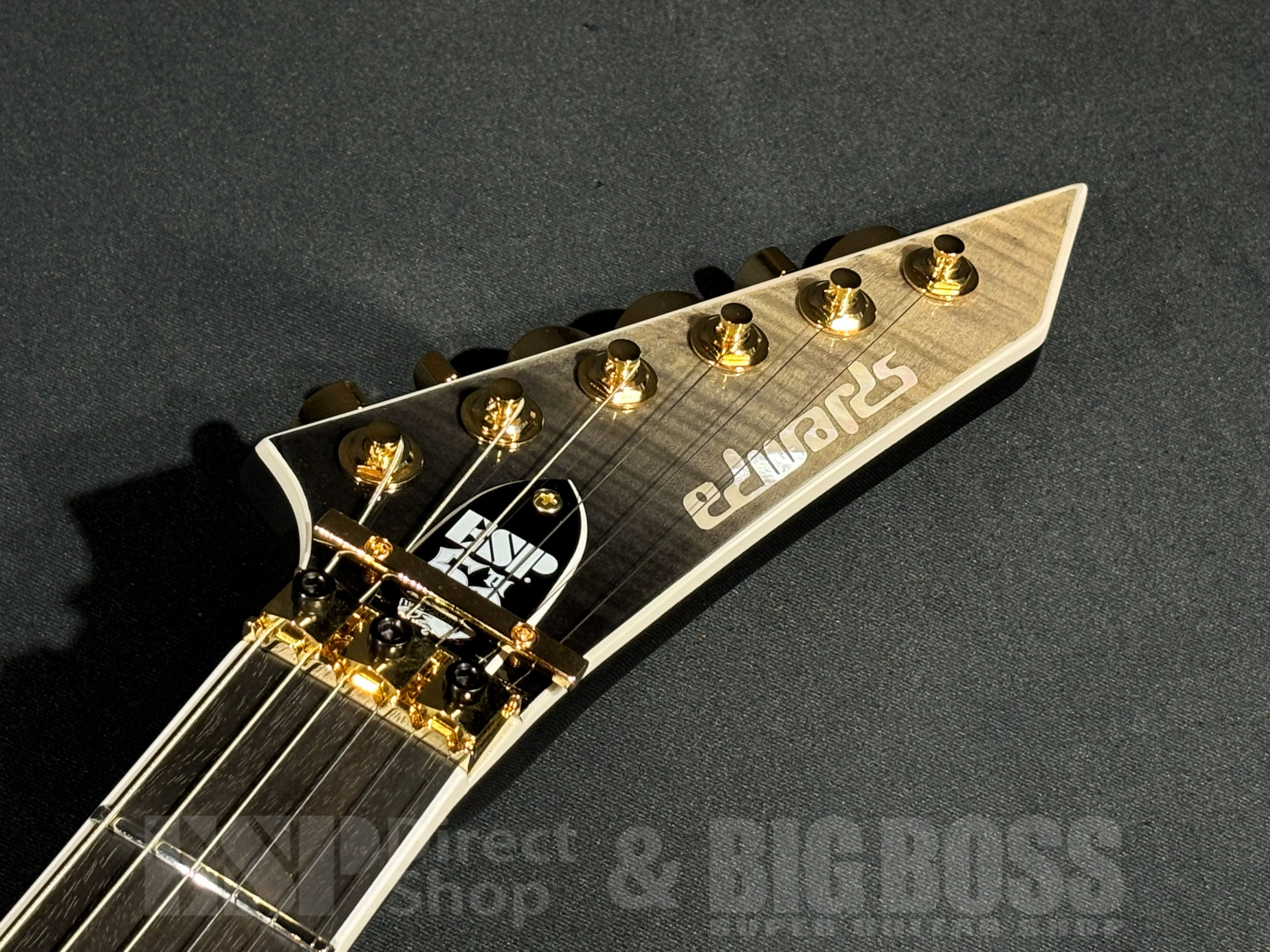 【即納可能】EDWARDS(エドワーズ) E-HORIZON-CTM 50TH / Ash Black Burst C/Black Pearl Back 大阪店