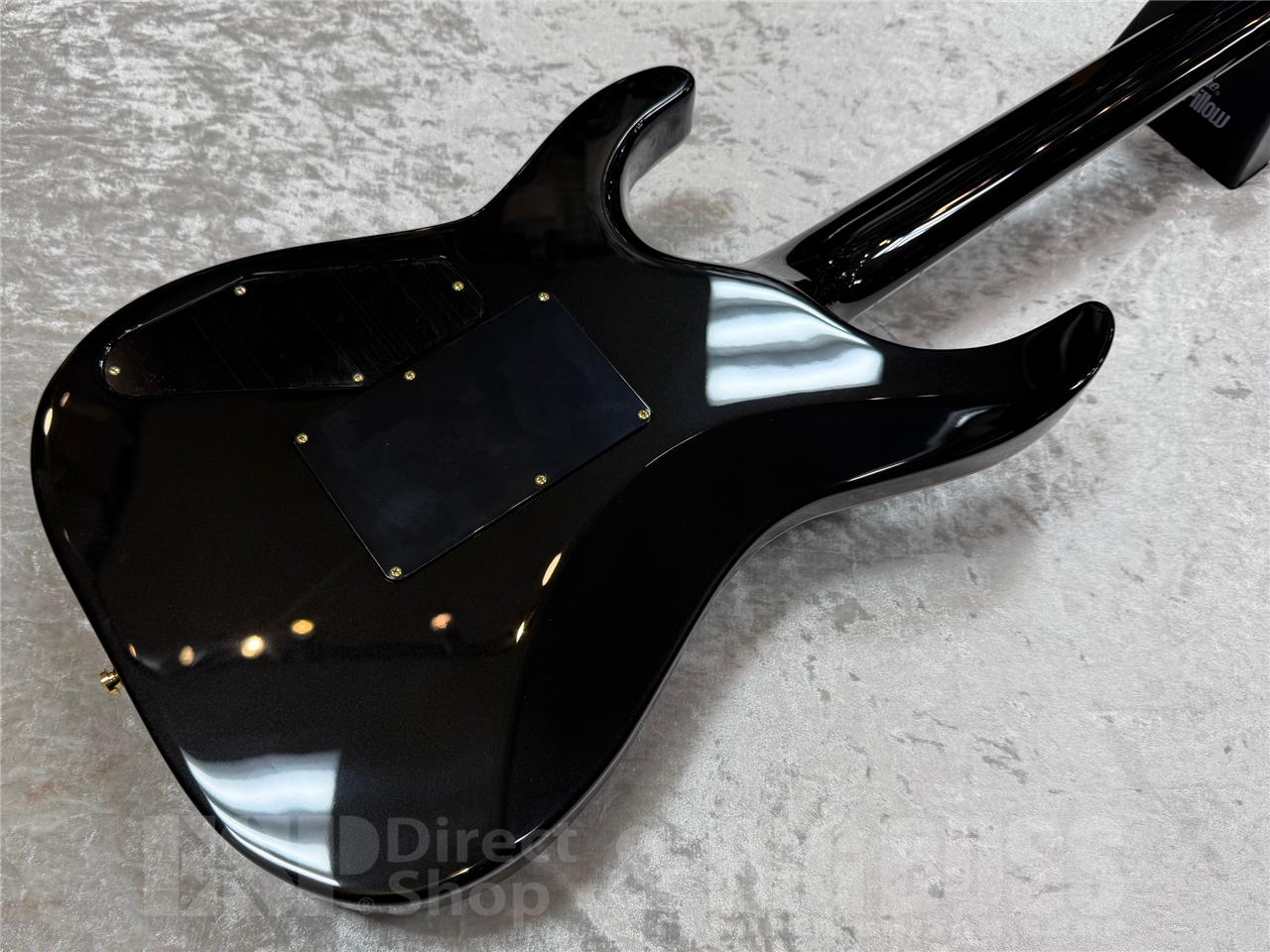 EDWARDS（エドワーズ）E-HORIZON-CTM 50TH/Ash Black Burst C/Black Pearl Back GWS