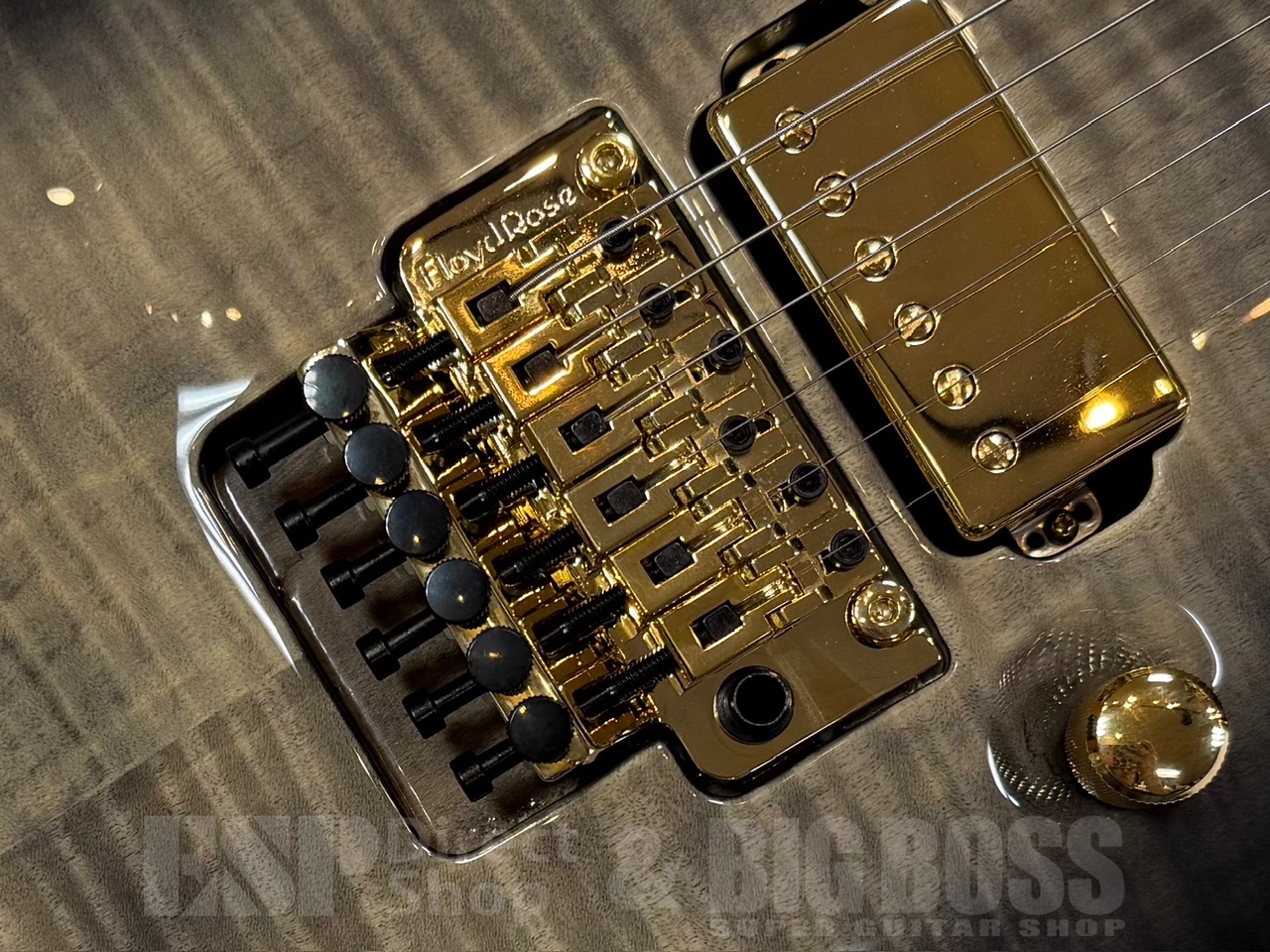 EDWARDS（エドワーズ）E-HORIZON-CTM 50TH/Ash Black Burst C/Black Pearl Back GWS