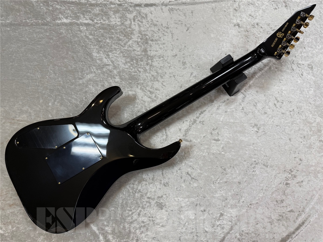 EDWARDS（エドワーズ）E-HORIZON-CTM 50TH/Ash Black Burst C/Black Pearl Back GWS