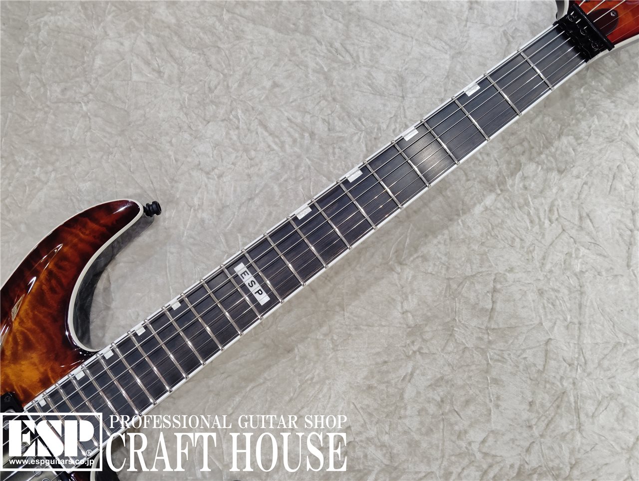 【即納可能】E-II HORIZON FR-II / Tiger Eye Sunburst 渋谷店