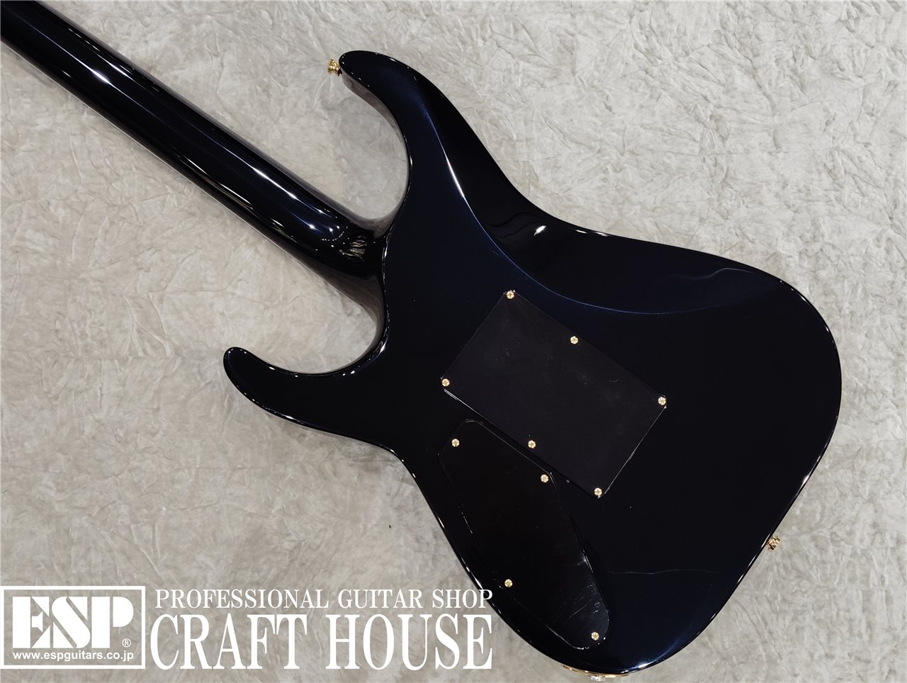 【即納可能】EDWARDS E-HORIZON-CTM 50TH / Black Aqua Burst C / Blue Pearl Back  渋谷店