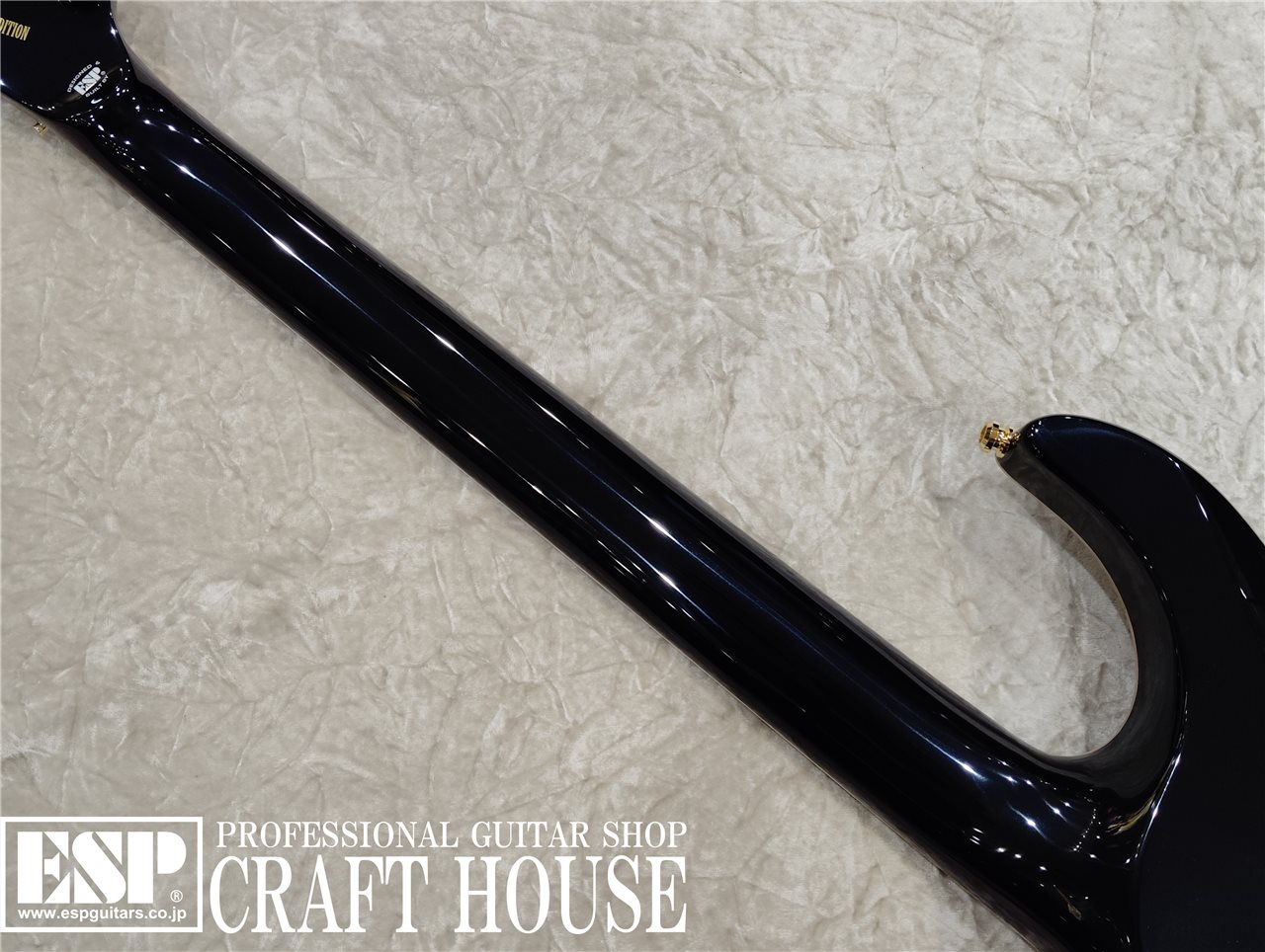 【即納可能】EDWARDS E-HORIZON-CTM 50TH / Black Aqua Burst C / Blue Pearl Back  渋谷店