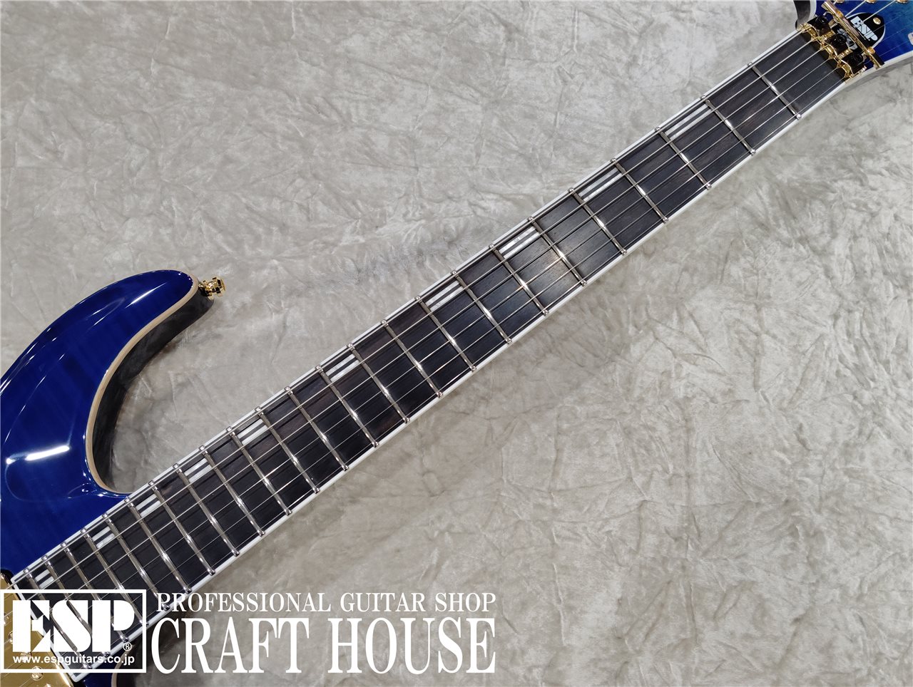 【即納可能】EDWARDS E-HORIZON-CTM 50TH / Black Aqua Burst C / Blue Pearl Back  渋谷店