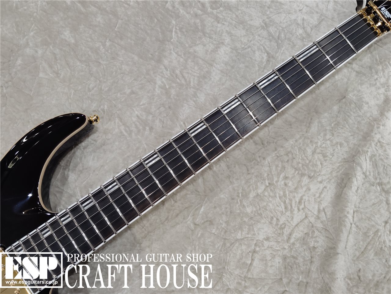 【即納可能】EDWARDS E-HORIZON-CTM 50TH / Ash Black Burst C / Black Pearl Back  渋谷店