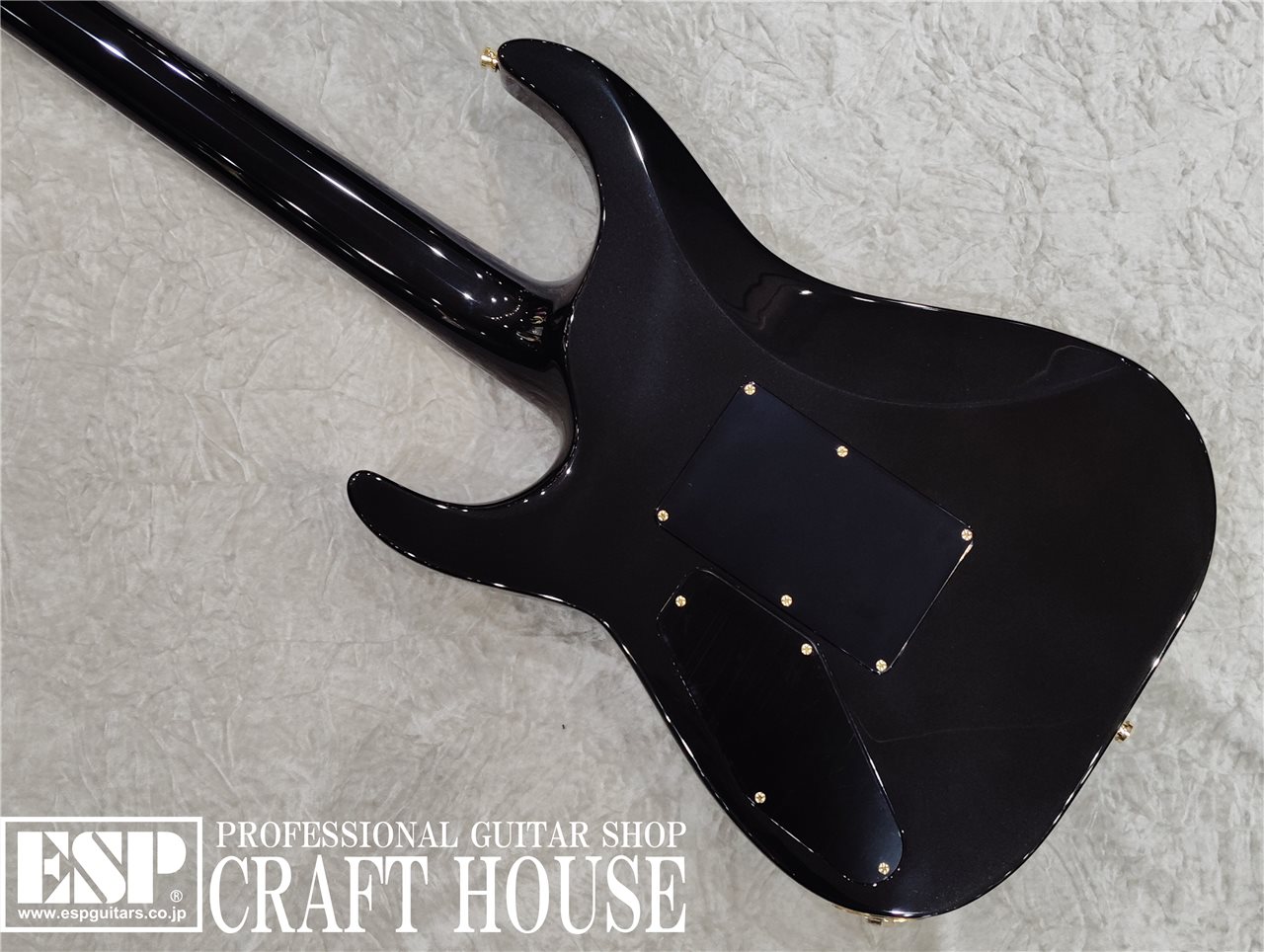 【即納可能】EDWARDS E-HORIZON-CTM 50TH / Ash Black Burst C / Black Pearl Back  渋谷店