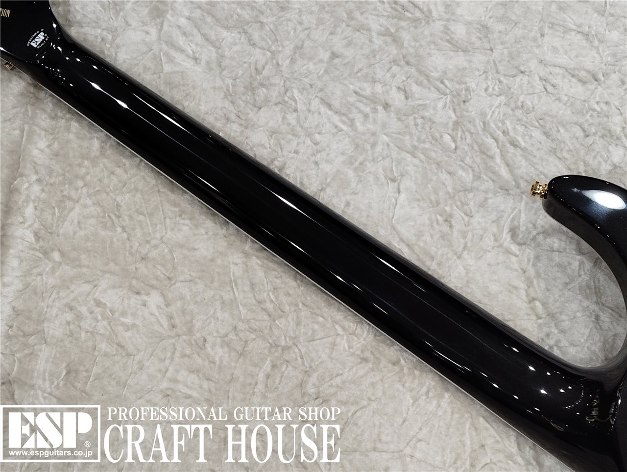 【即納可能】EDWARDS E-HORIZON-CTM 50TH / Ash Black Burst C / Black Pearl Back  渋谷店