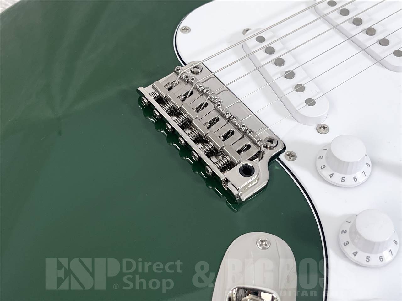 【即納可能】Paul Reed Smith  (ポールリードスミス/PRS) SE Silver Sky Rosewood / Laurel Green (2025年製) お茶の水駅前店・別館
