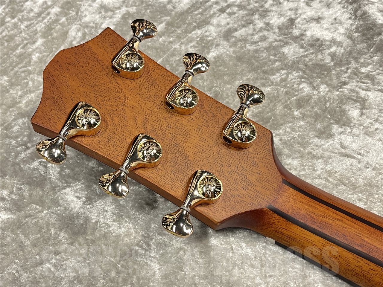 【即納可能】Bromo Guitars（ブロモギターズ）BAR4GCE（Natural）　名古屋店