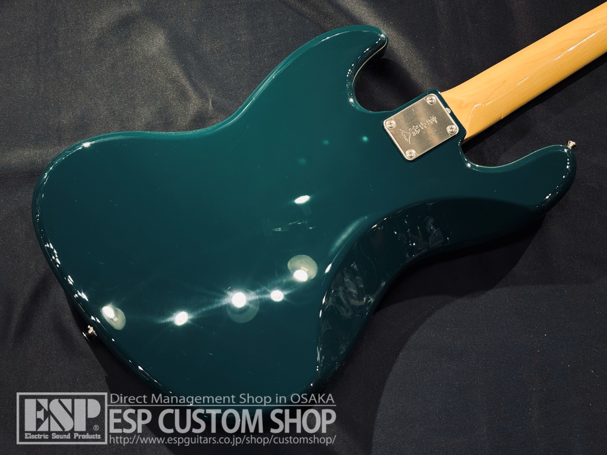 【即納可能】FUJIGEN(FGN) NJB200RAL BG (British Green) 大阪店