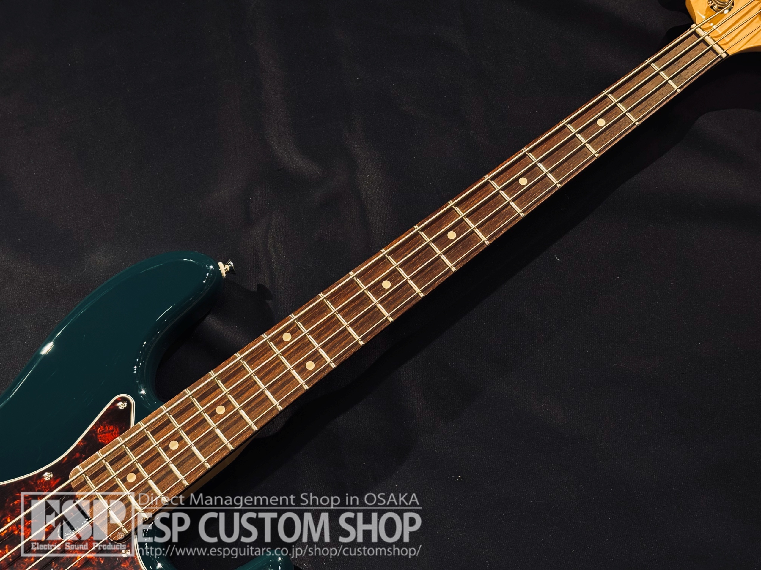 【即納可能】FUJIGEN(FGN) NJB200RAL BG (British Green) 大阪店