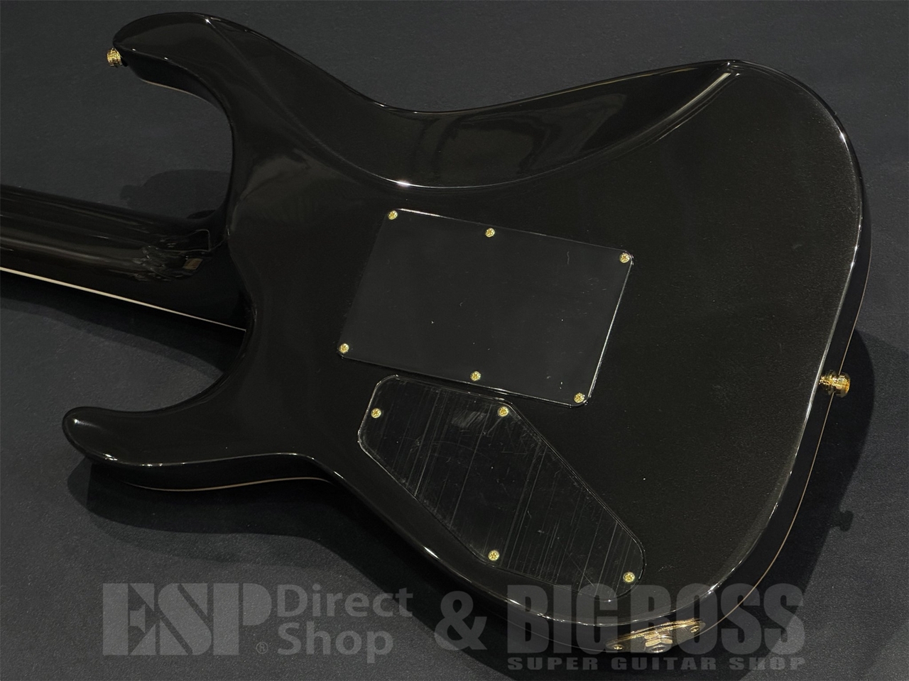 【即納可能】EDWARDS(エドワーズ) E-HORIZON-CTM 50TH / Ash Black Burst C/Black Pearl Back 京都店