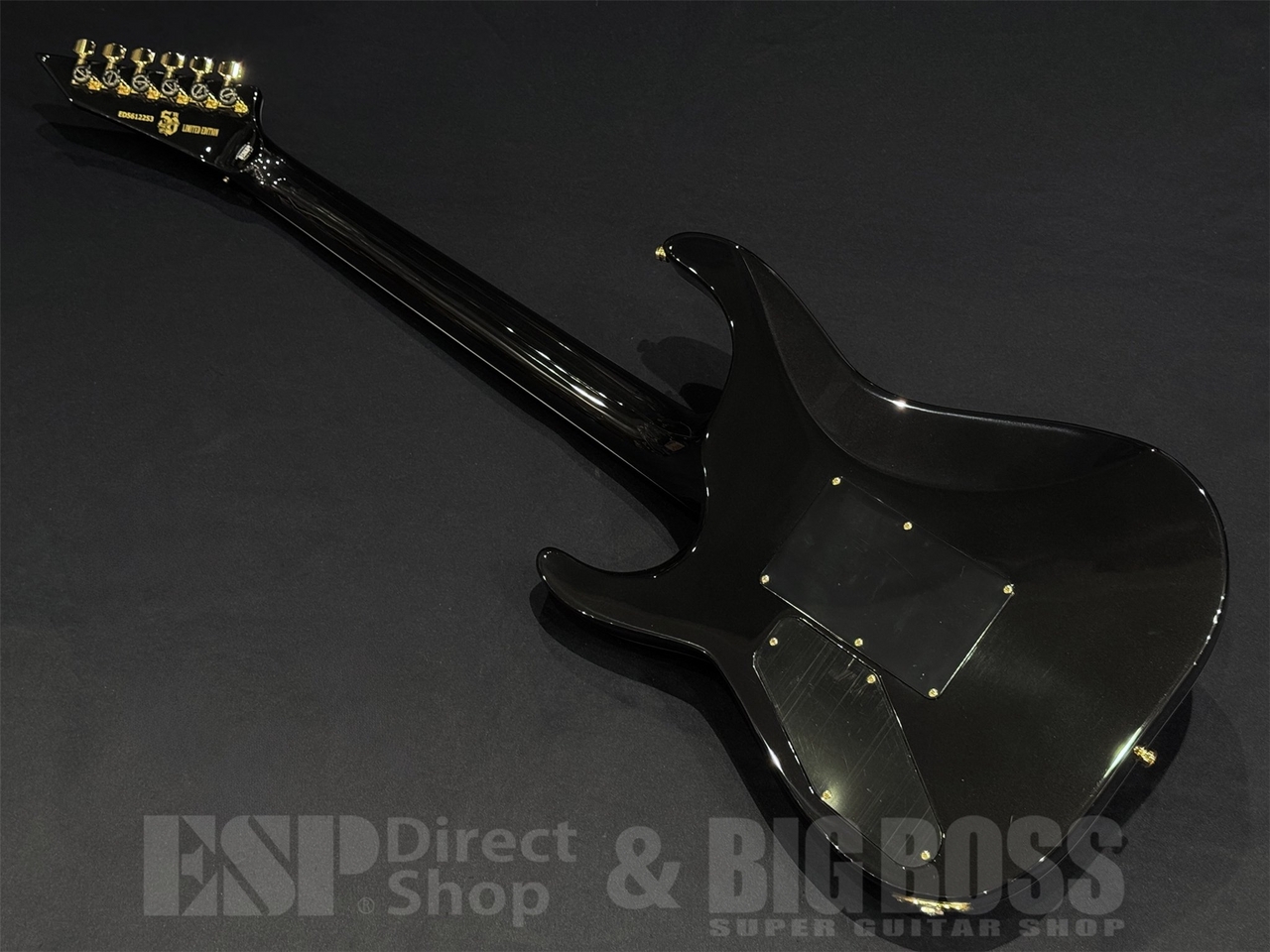 【即納可能】EDWARDS(エドワーズ) E-HORIZON-CTM 50TH / Ash Black Burst C/Black Pearl Back 京都店