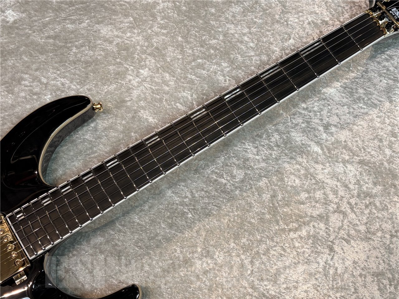 【即納可能】EDWARDS(エドワーズ) E-HORIZON-CTM 50TH (Ash Black Burst C / Black Pearl Back) 広島店