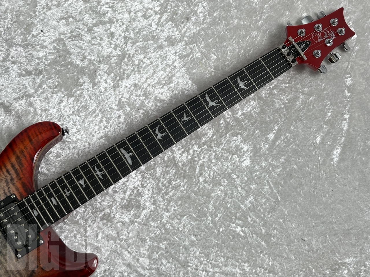 【即納可能】Paul Reed Smith(ポールリードスミス/PRS) SE CUSTOM 24 "FLOYD" Charcoal Cherry Burst お茶の水駅前店(東京)