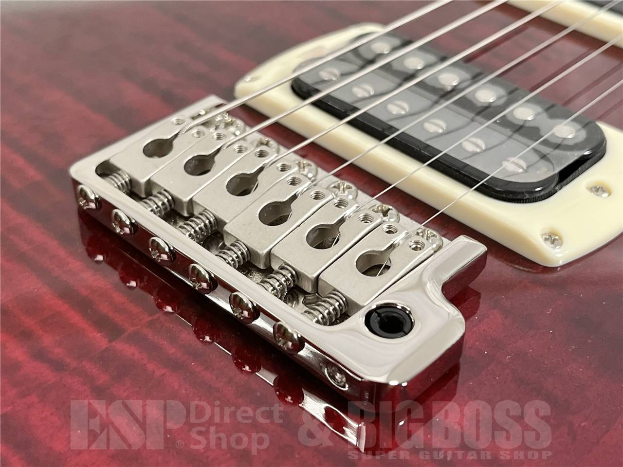 【即納可能】Paul Reed Smith(PRS/ポールリードスミス) SE Custom 24 / Fire Red Burst (2025年製)お茶の水駅前店・別館