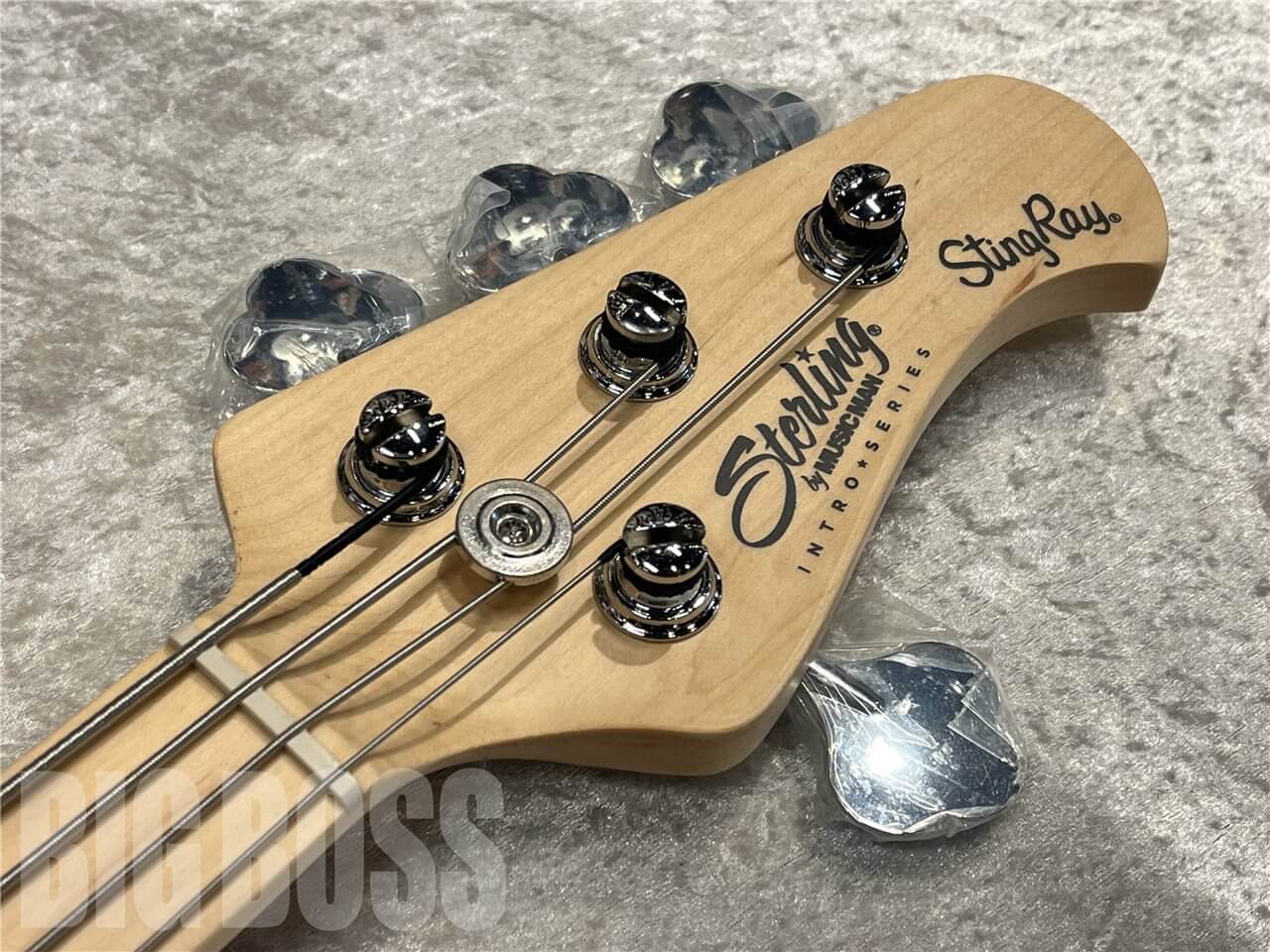 【即納可能】Sterling by MUSIC MAN（スターリンバイミュージックマン）Intro Series Ray2（Black）　名古屋店