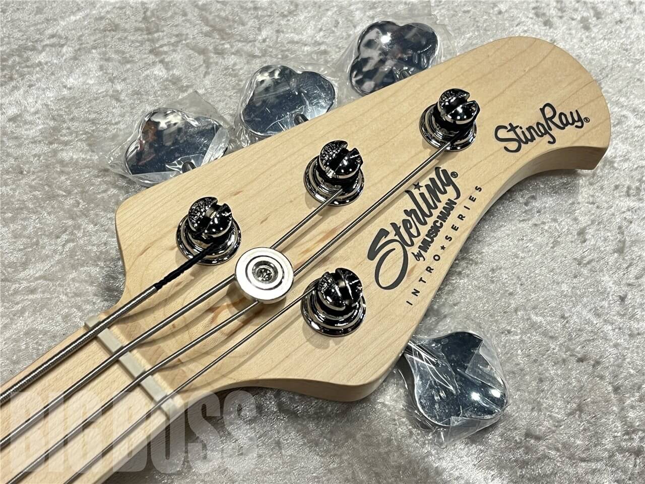 【即納可能】Sterling by MUSIC MAN（スターリンバイミュージックマン）Intro Series Ray2（Sunrise Orange）　名古屋店