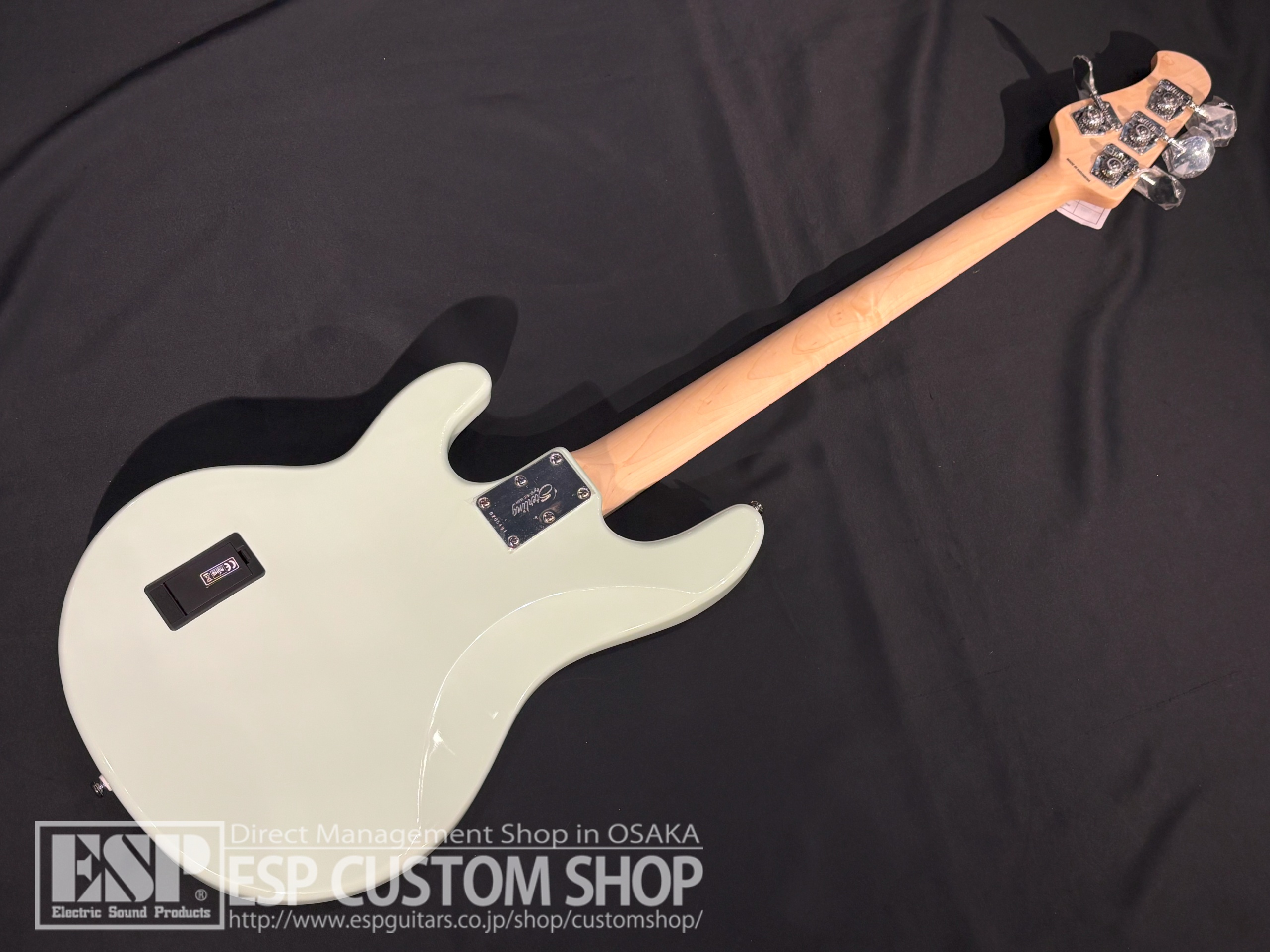 【即納可能】Sterling by MUSICMAN RAY4 Mint Green 大阪店