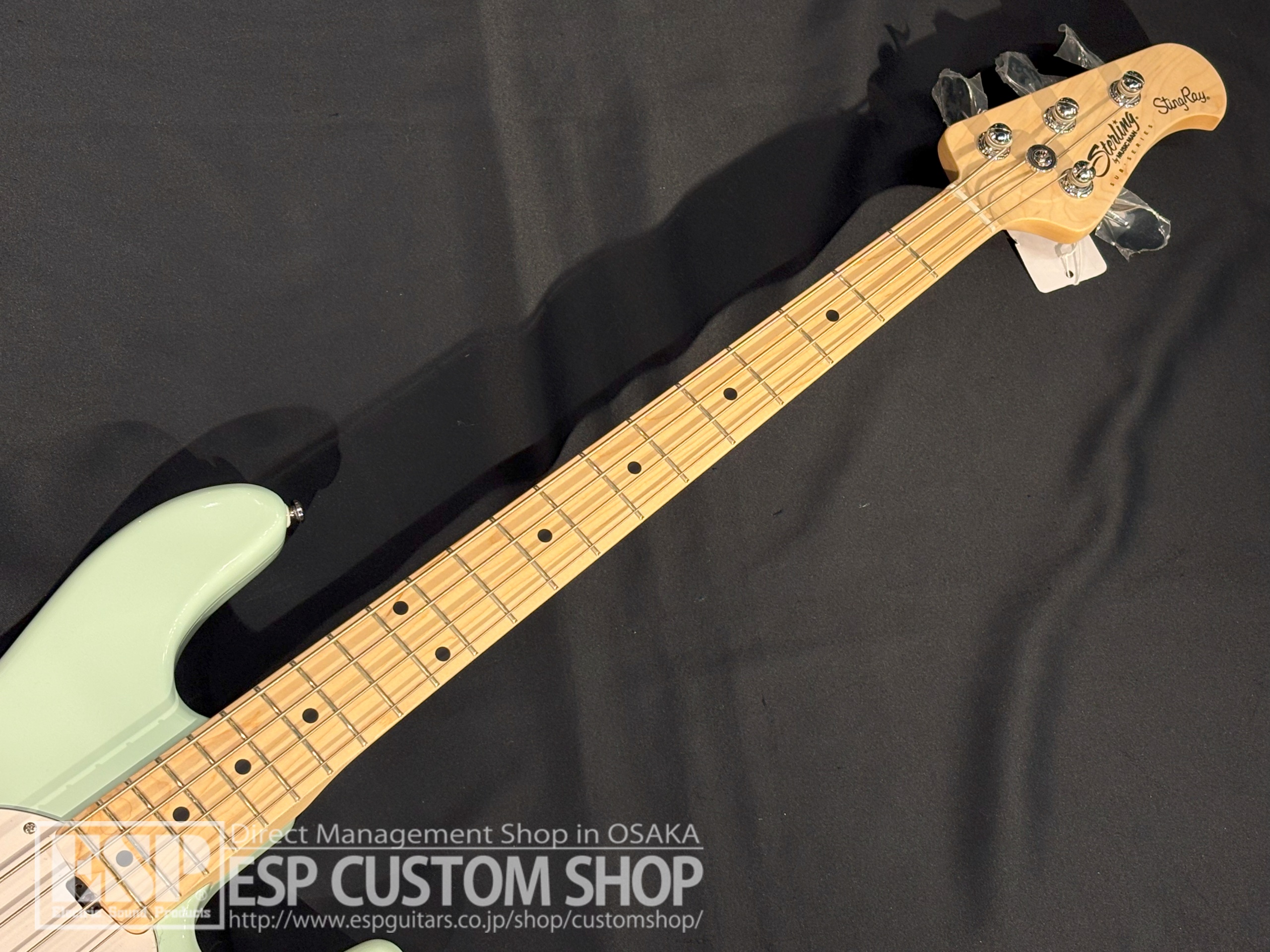 【即納可能】Sterling by MUSICMAN RAY4 Mint Green 大阪店