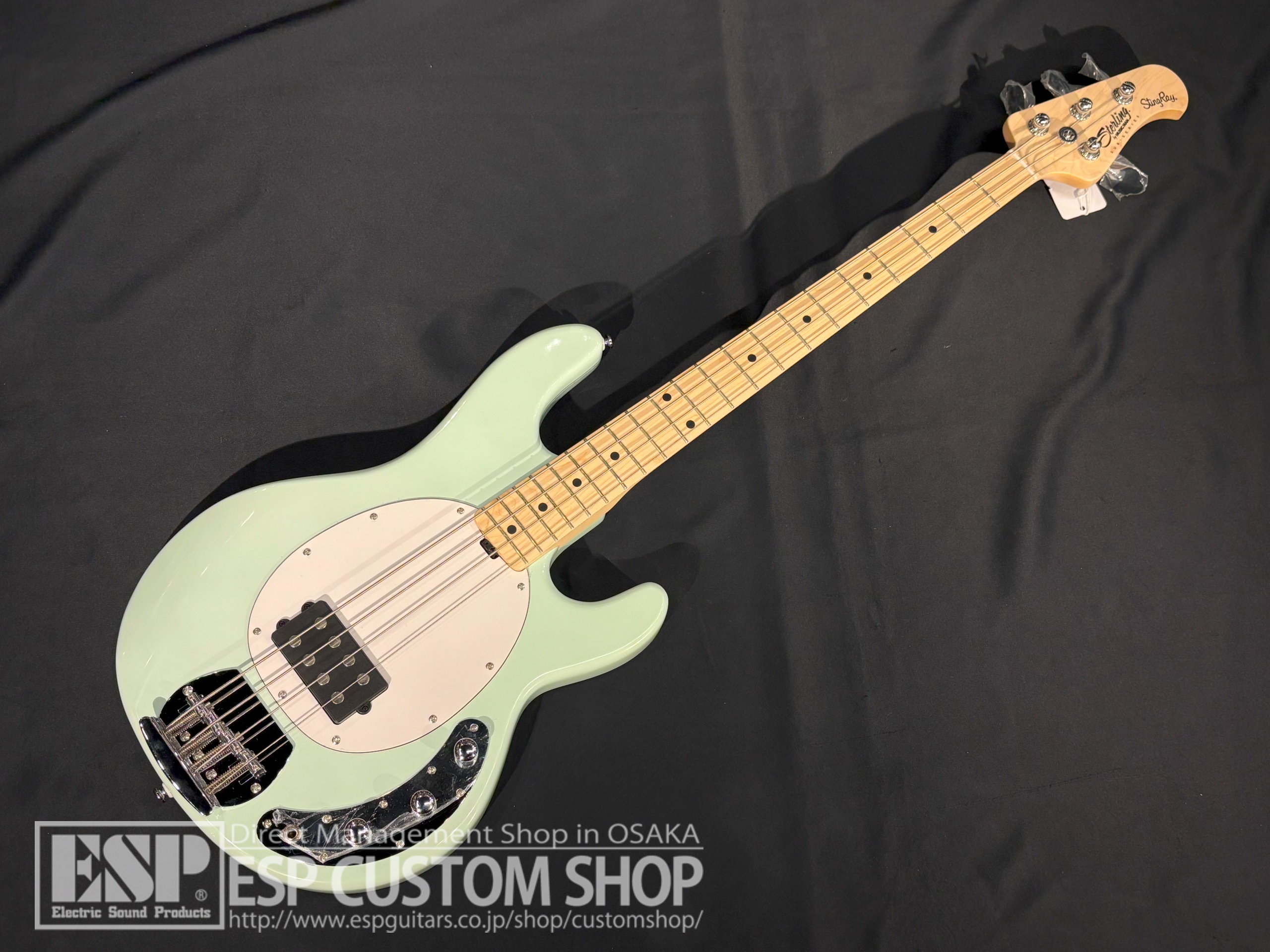 【即納可能】Sterling by MUSICMAN RAY4 Mint Green 大阪店