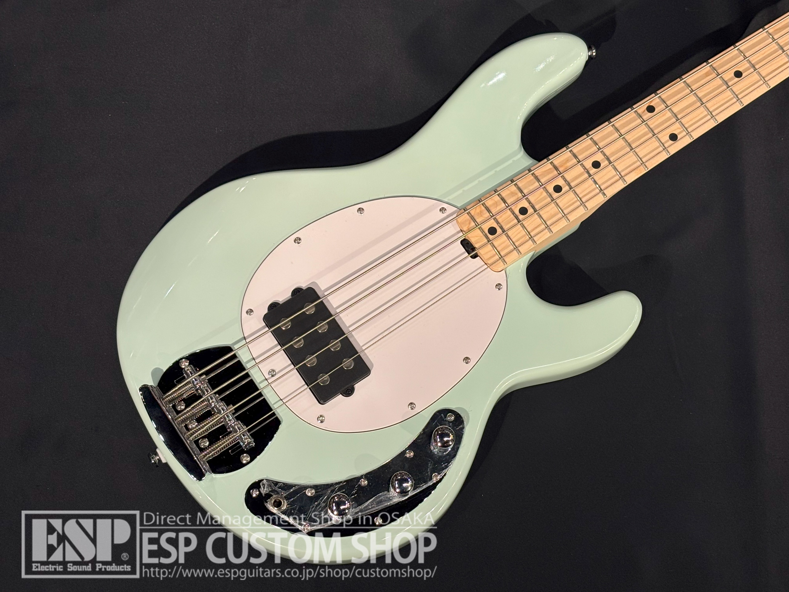 【即納可能】Sterling by MUSICMAN RAY4 Mint Green 大阪店