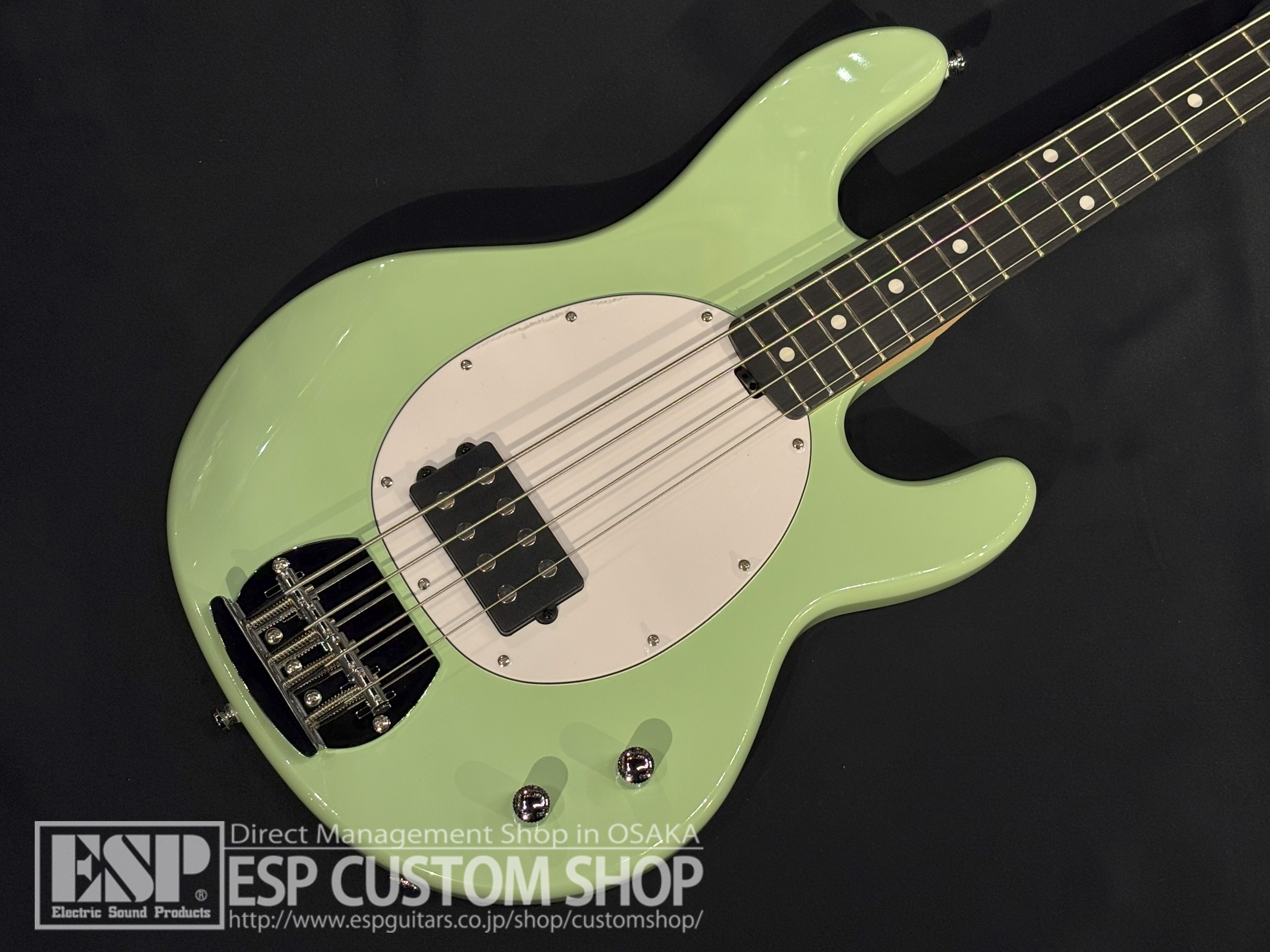 【即納可能】Sterling by MUSIC MAN Ray2 Misty Green 大阪店