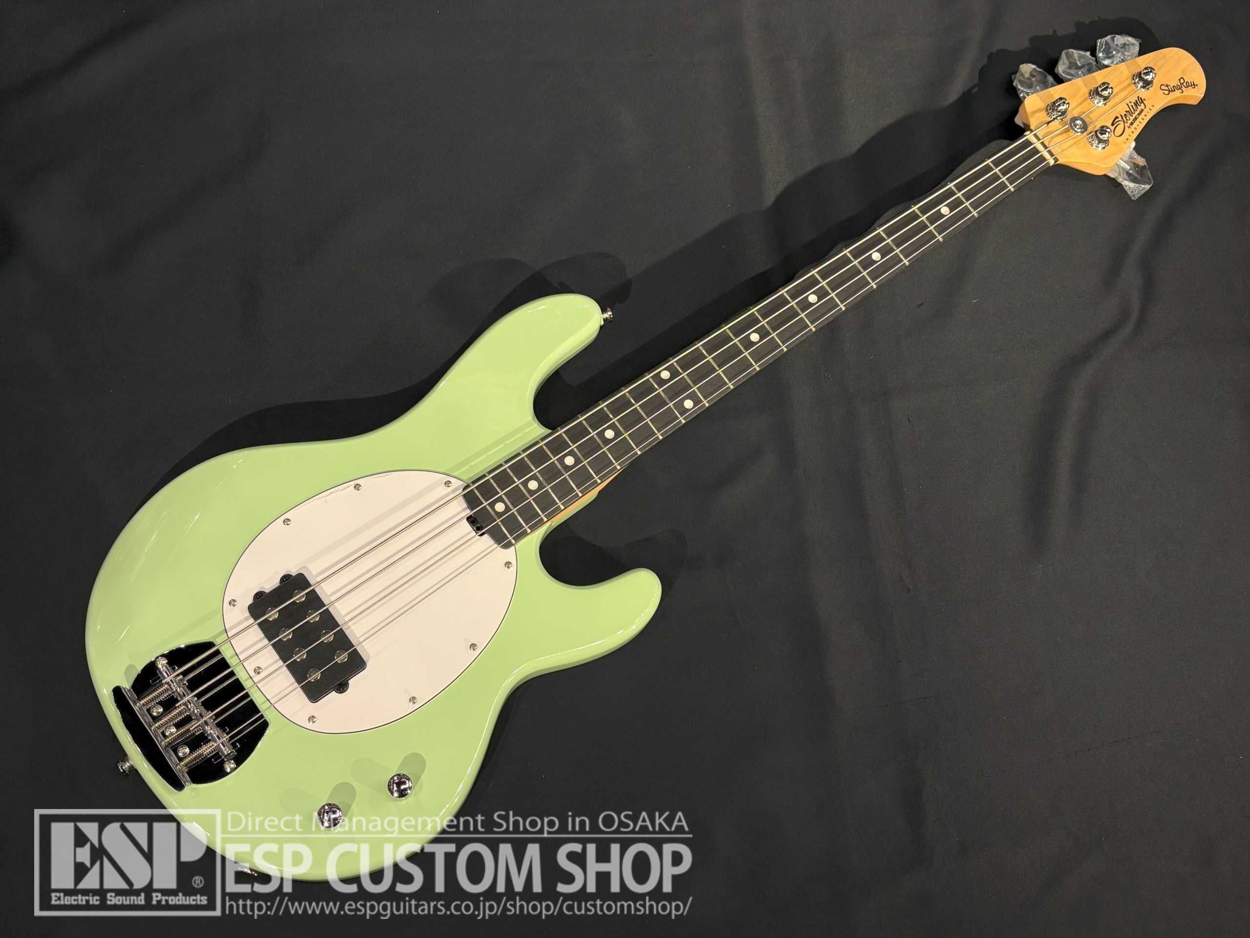 【即納可能】Sterling by MUSIC MAN Ray2 Misty Green 大阪店