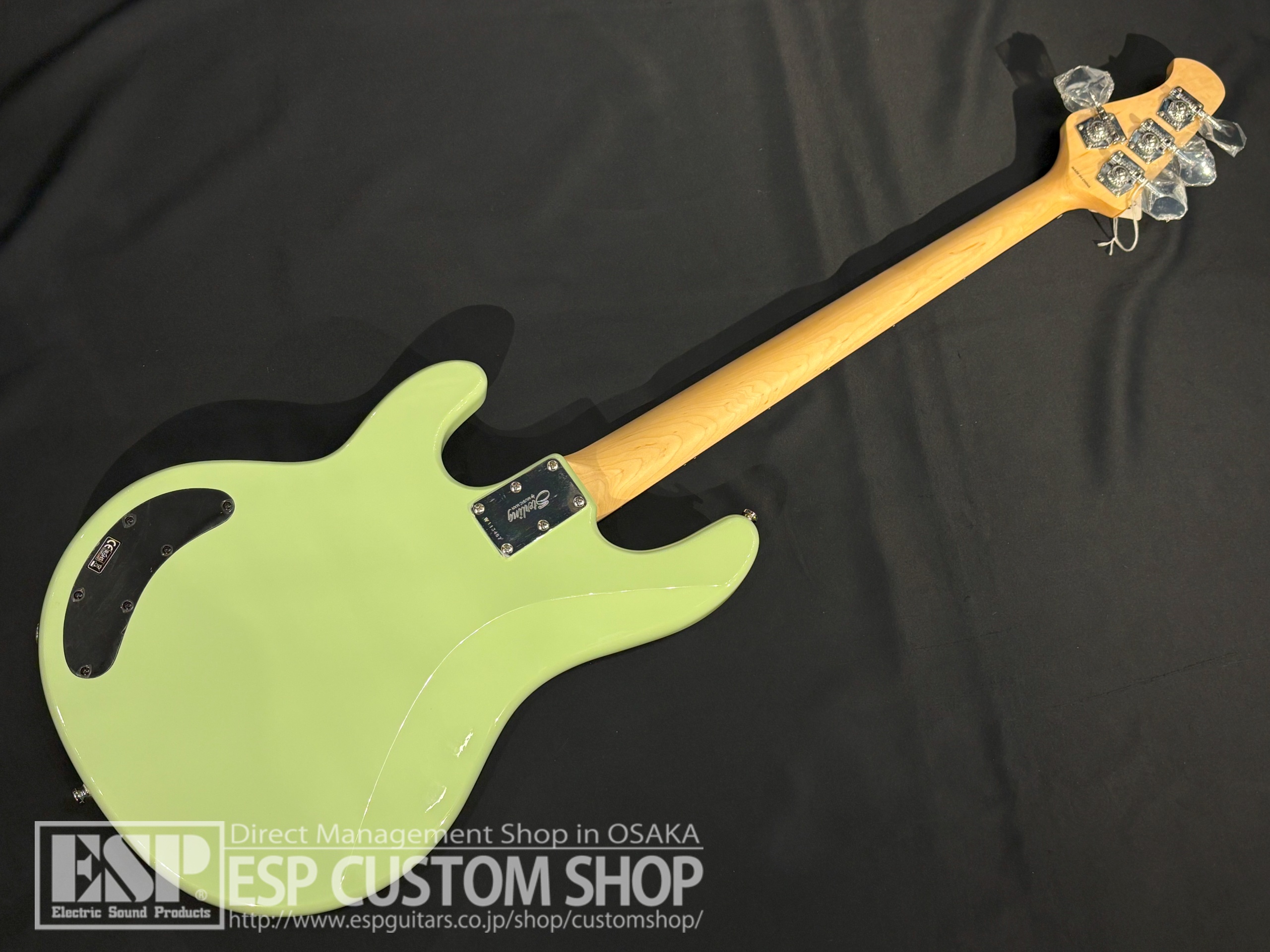 【即納可能】Sterling by MUSIC MAN Ray2 Misty Green 大阪店