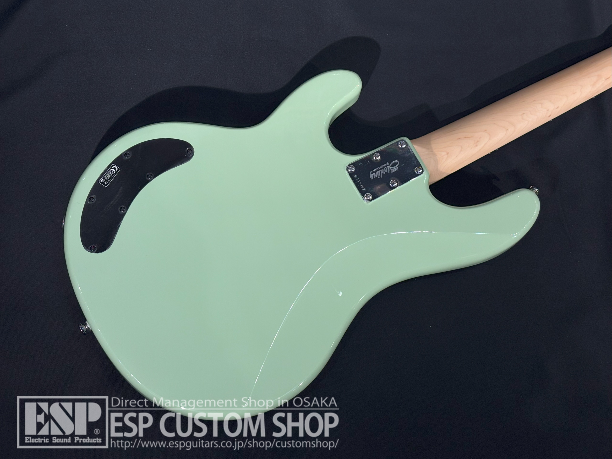 【即納可能】Sterling by MUSIC MAN Ray2 Misty Green 大阪店