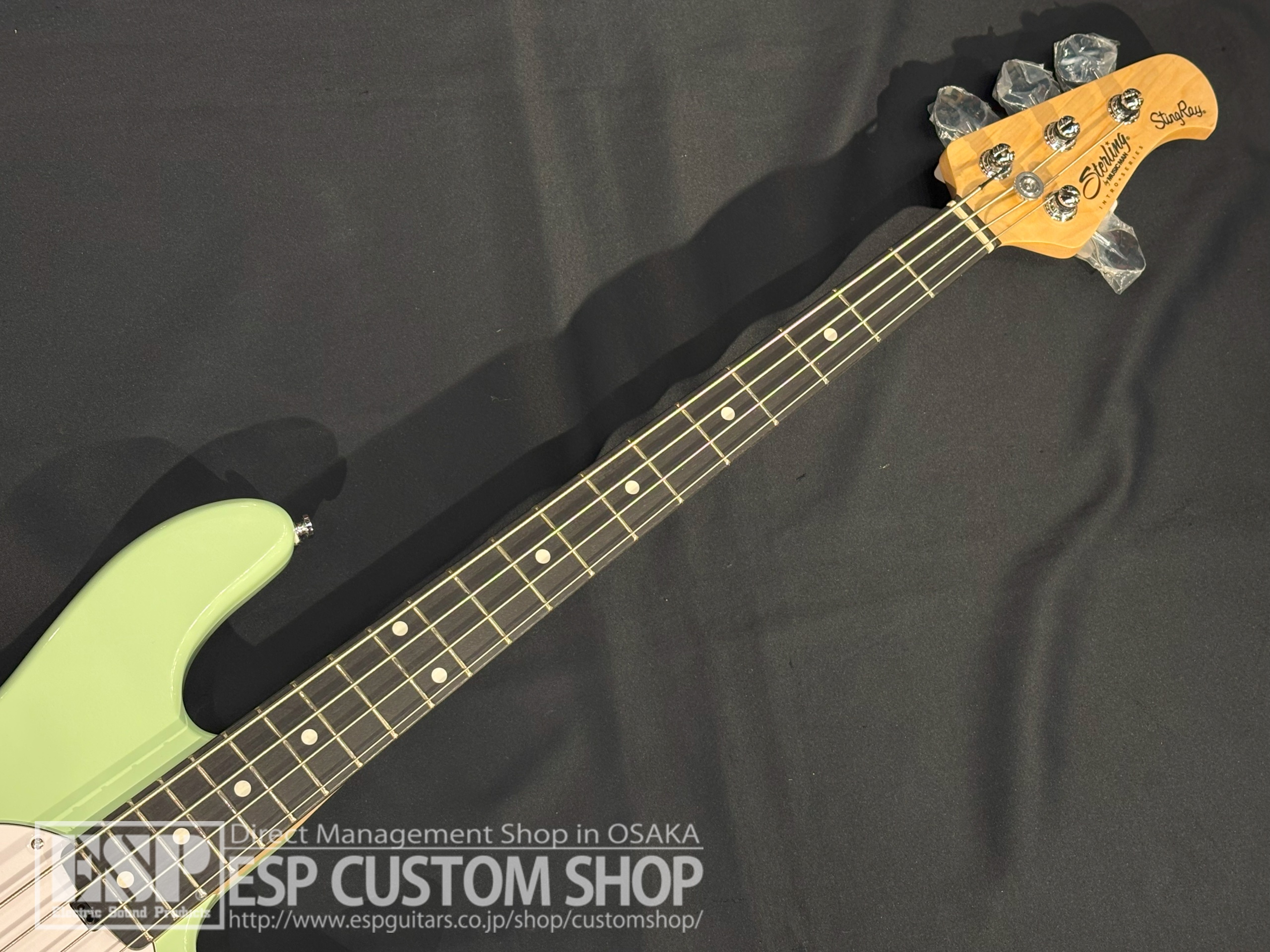 【即納可能】Sterling by MUSIC MAN Ray2 Misty Green 大阪店