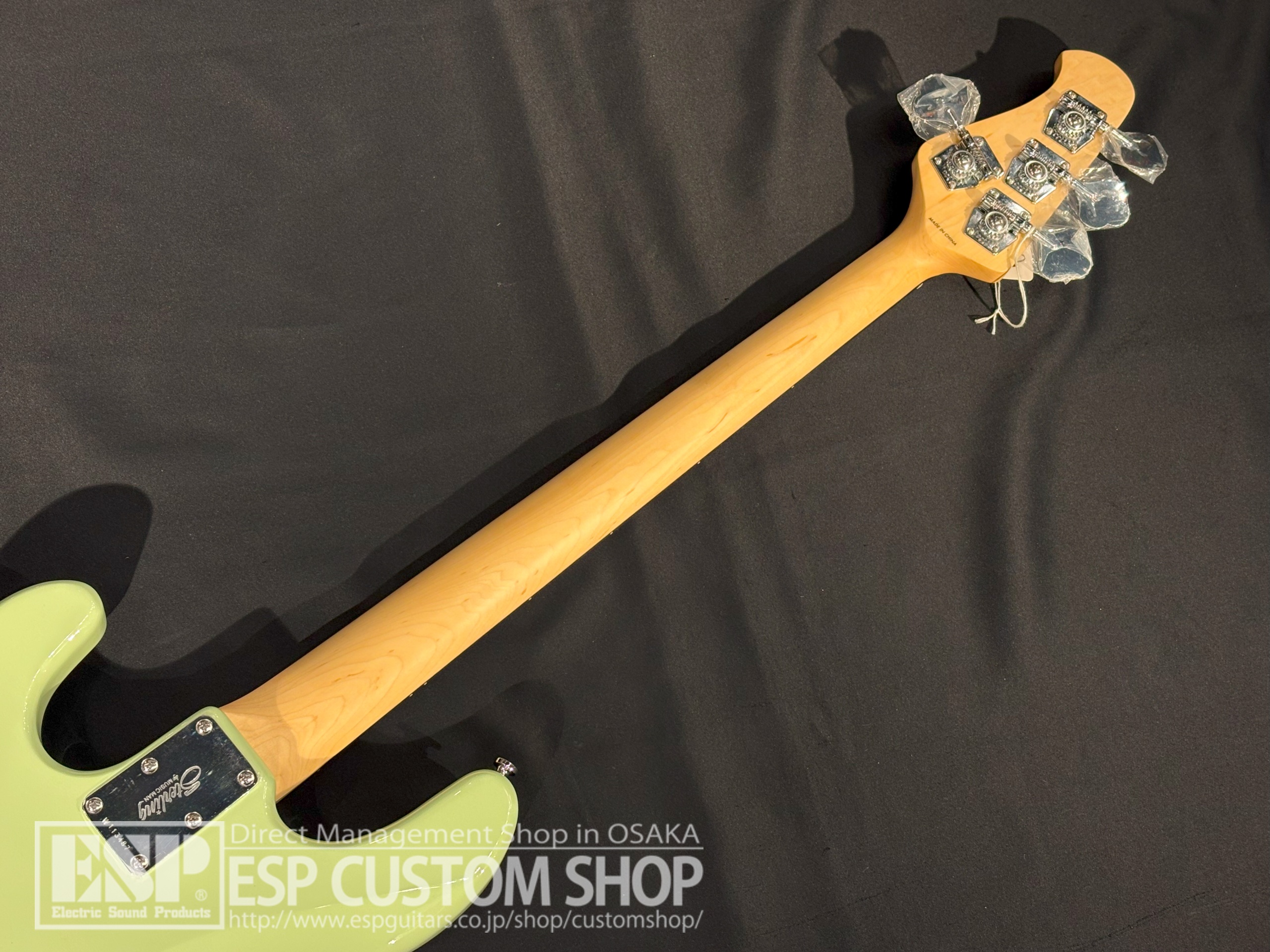 【即納可能】Sterling by MUSIC MAN Ray2 Misty Green 大阪店