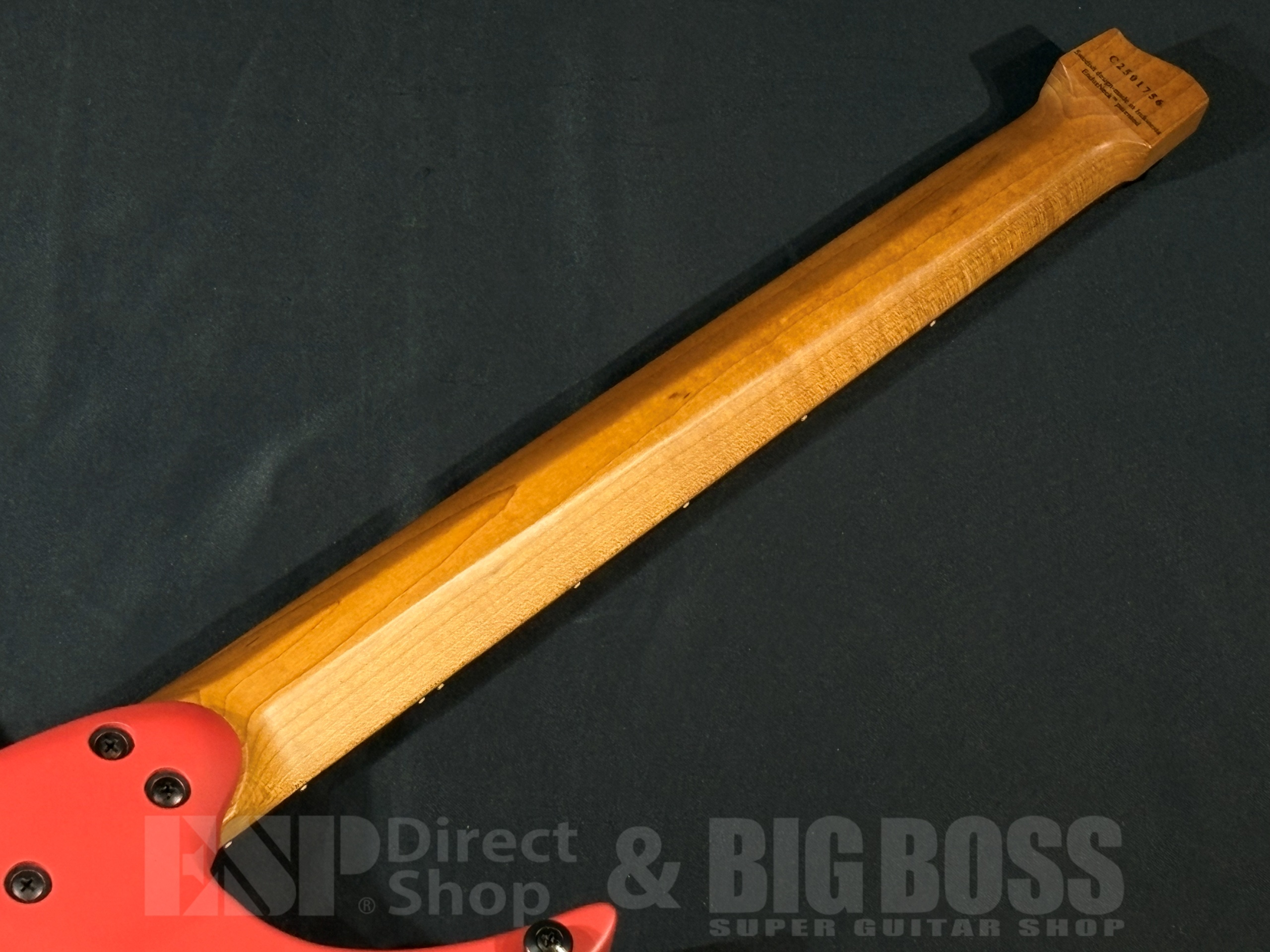 【即納可能】strandberg(ストランドバーグ) Boden Essential 6 / Astro Dust 大阪店