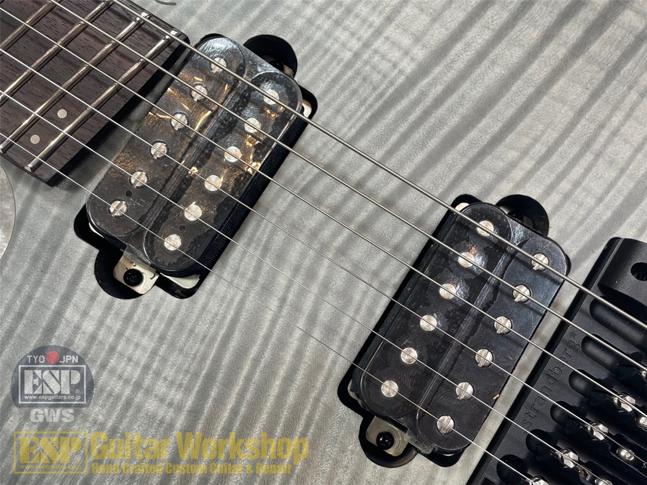 【即納可能】Strandberg Boden Standard NX 6 Lefty Tremolo Charcoal GWS