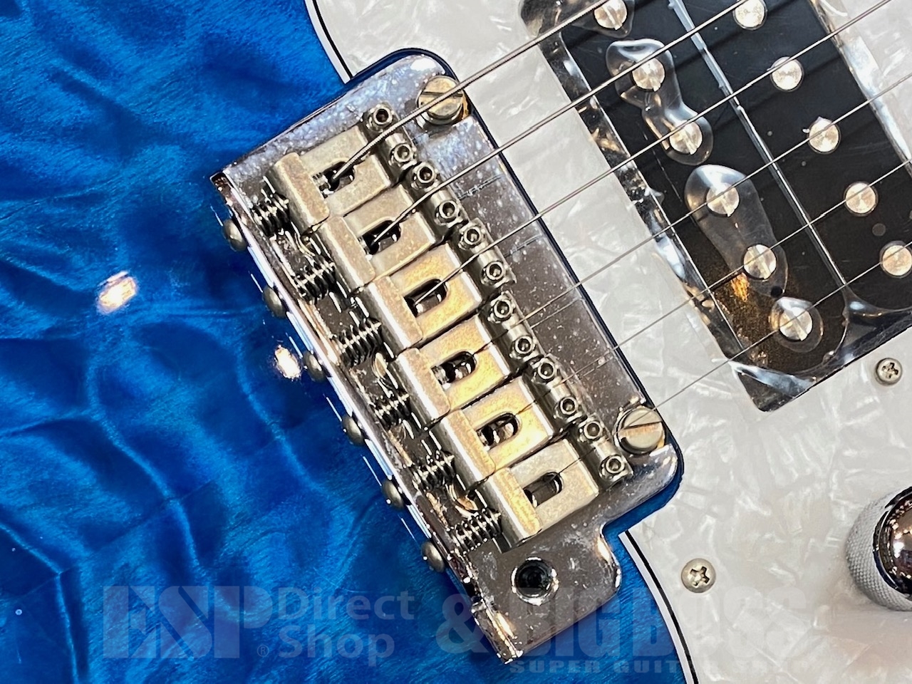 【即納可能】Greco WS-ADV-G/QT /Aqua Blue GWS