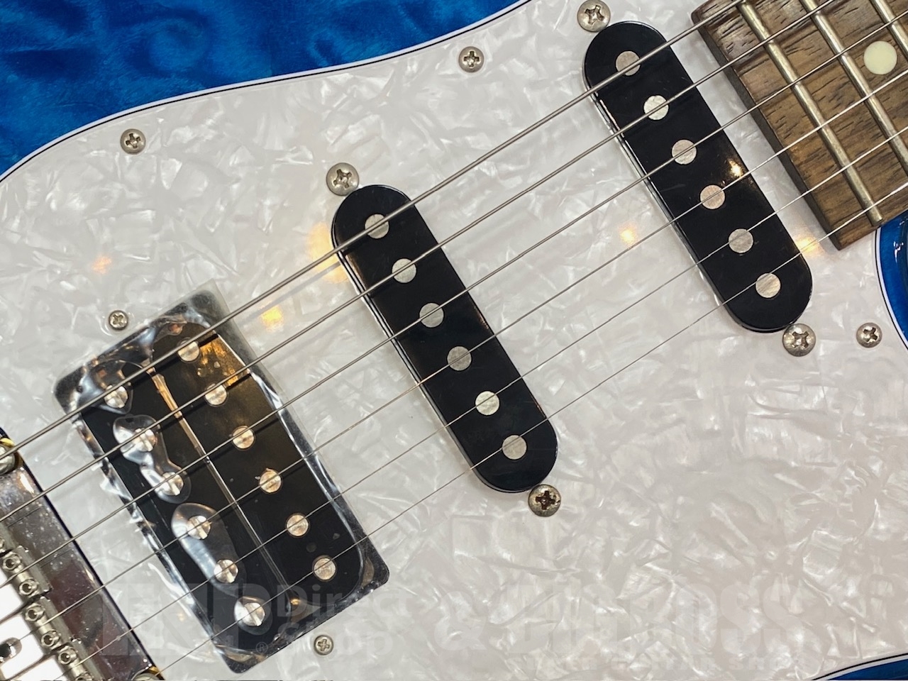 【即納可能】Greco WS-ADV-G/QT /Aqua Blue GWS